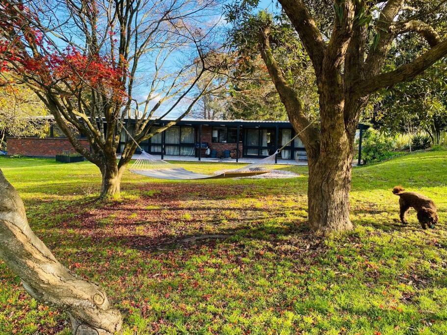 Sibbel House- Luxurious Mid-Century Modern Home, Yarra Valley