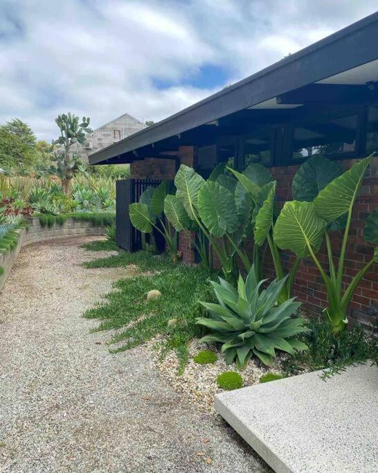 Sibbel House- Luxurious Mid-Century Modern Home, Yarra Valley