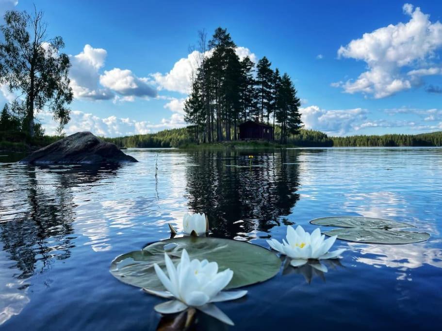 Water front scandinavian Forest View with no neighbors view 4