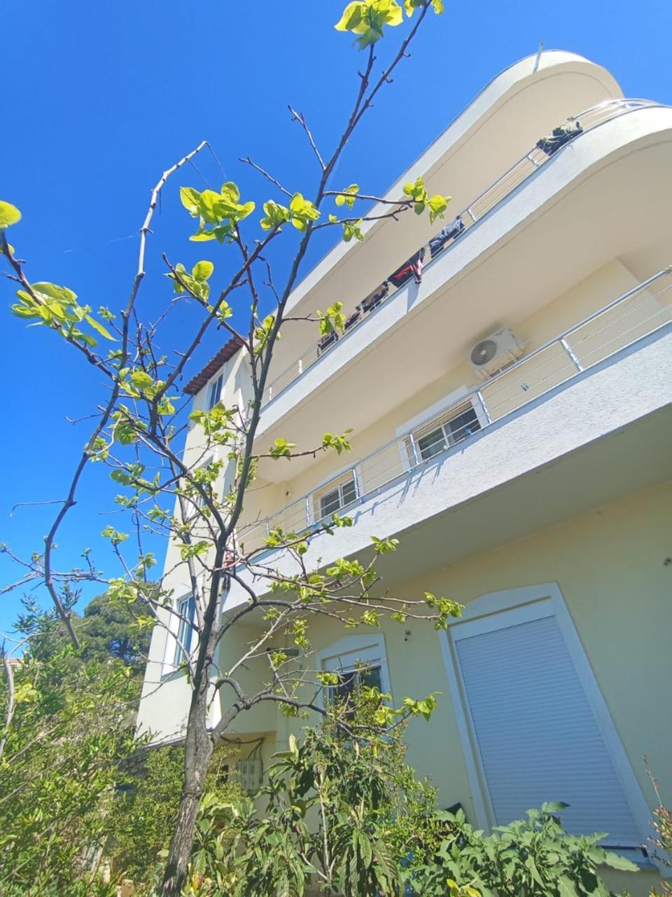Mino's House Rent Apartments