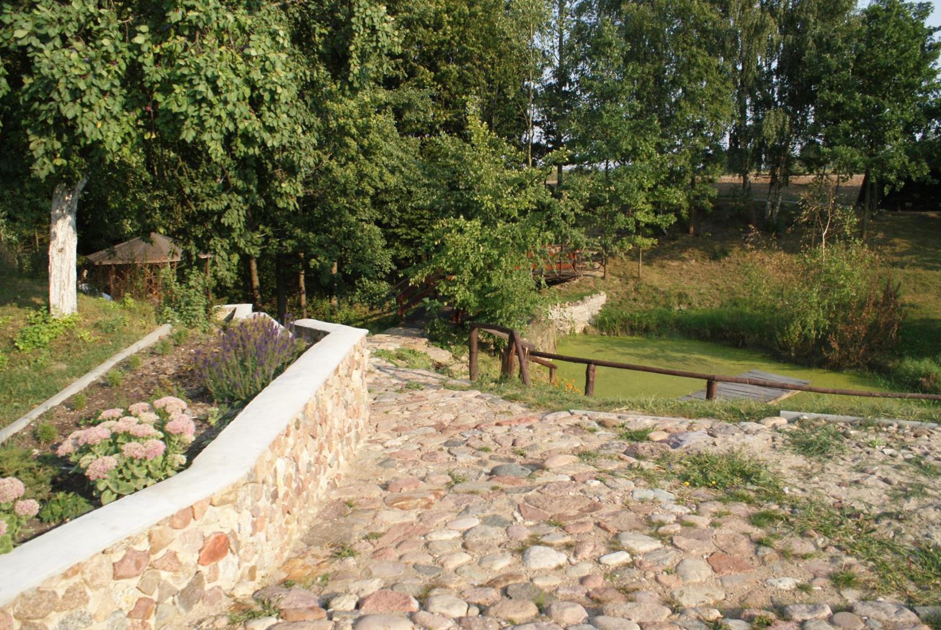 Photo 25