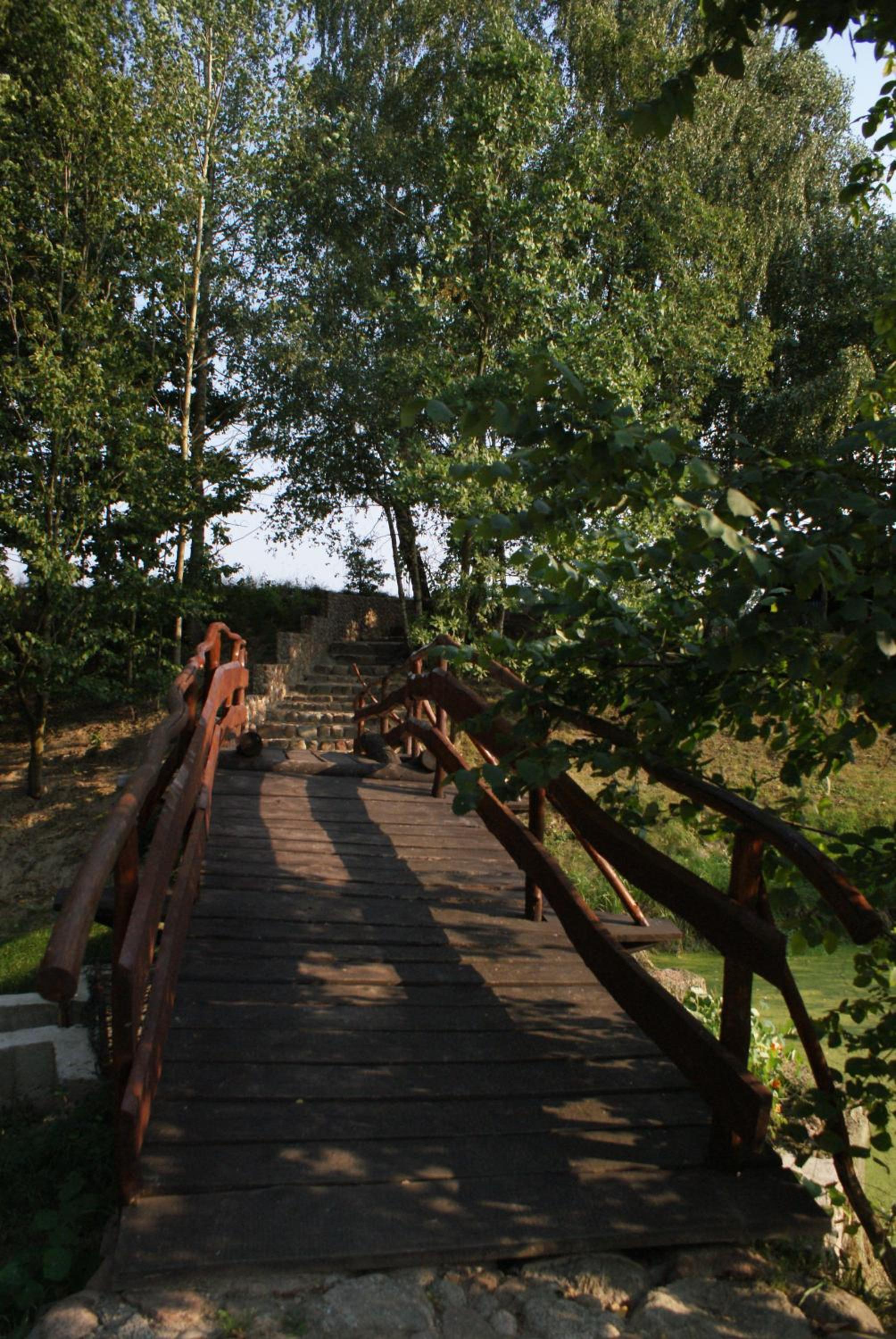 Photo 27