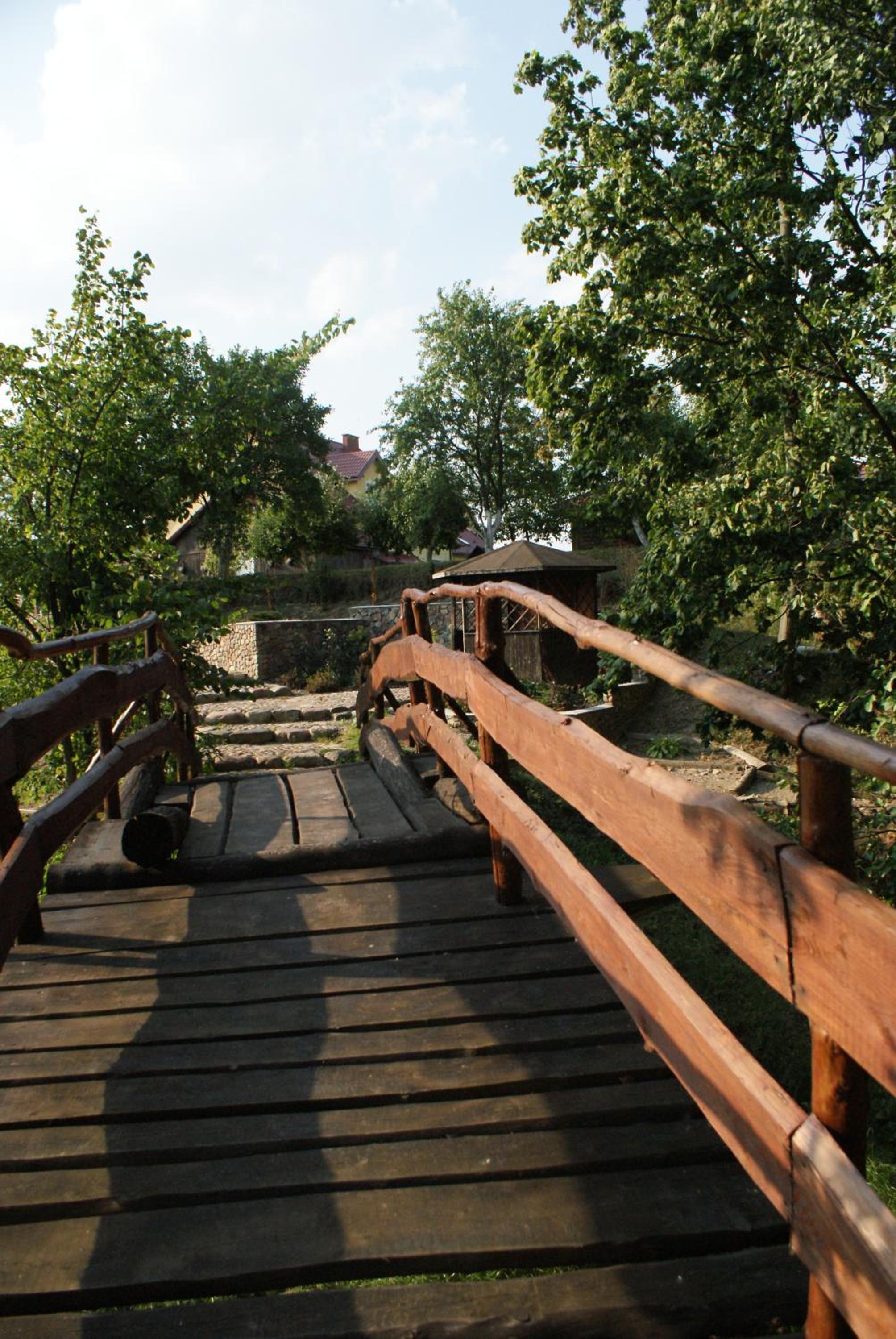 Photo 31