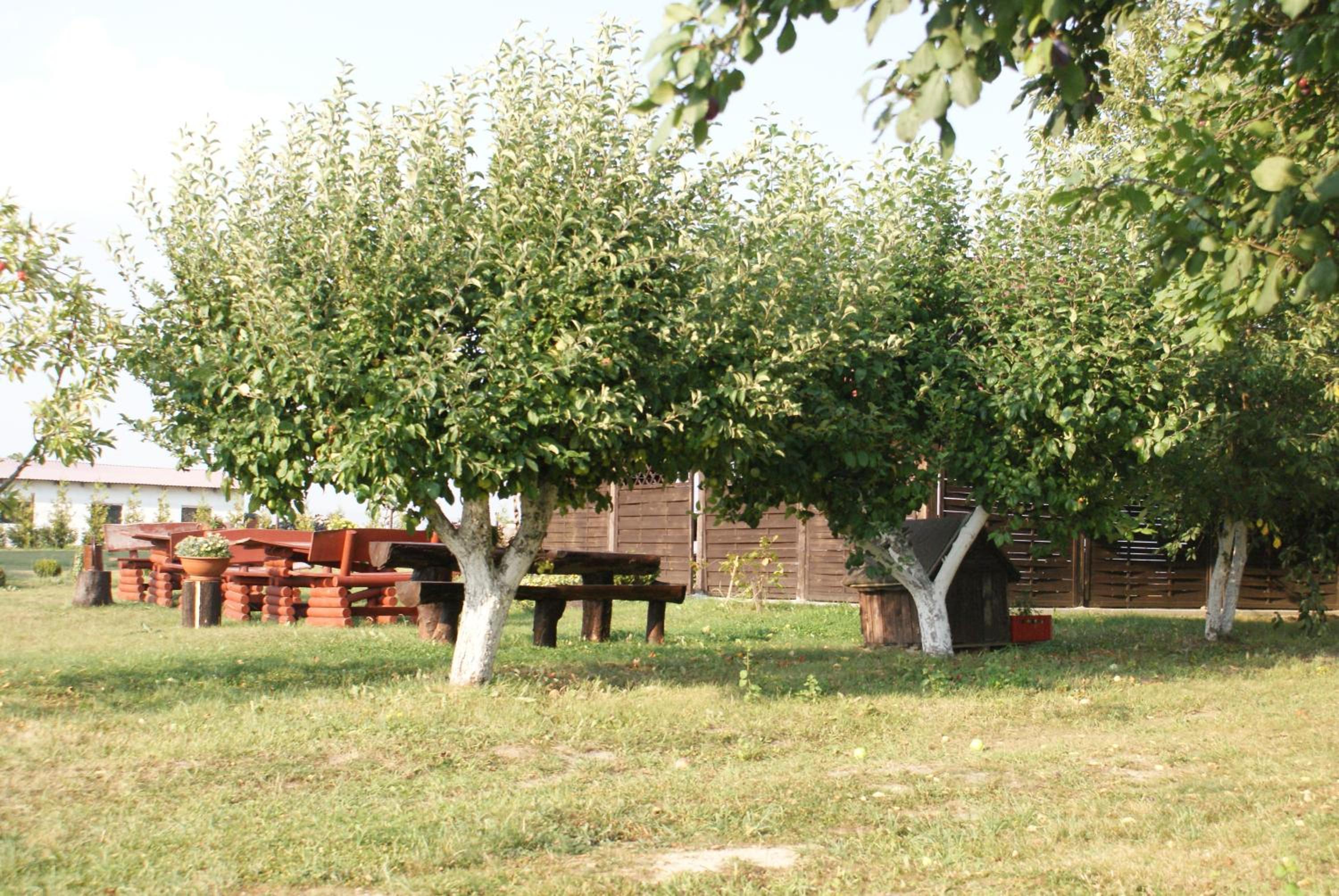 Photo 32