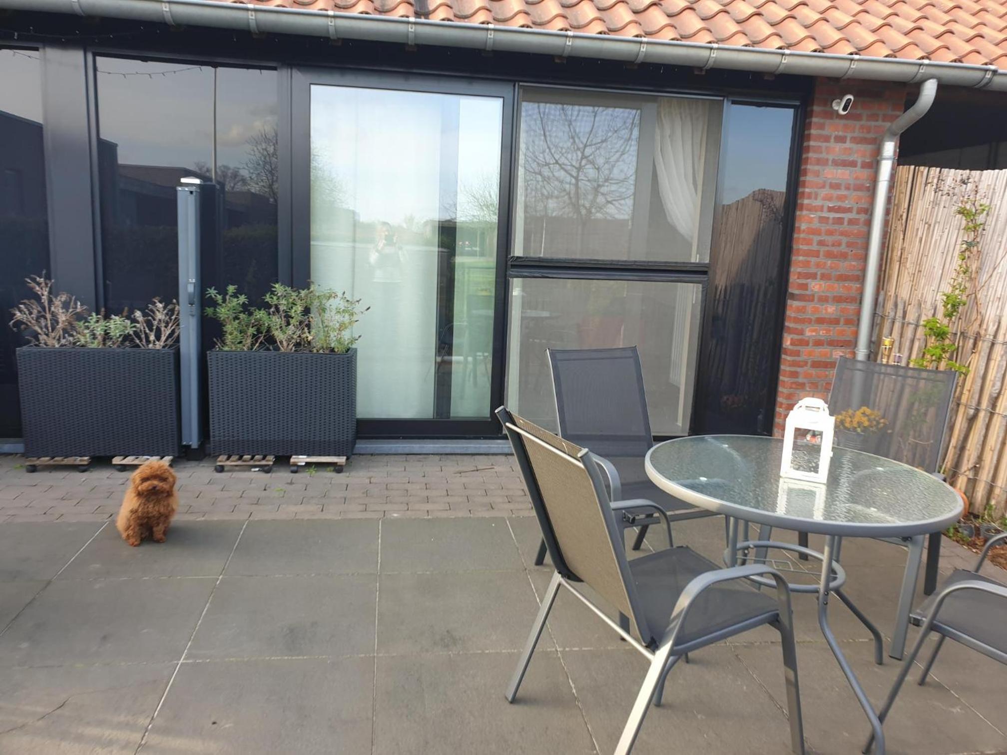 Het Zonnetje -Vakantiewoning en Bed and Breakfast