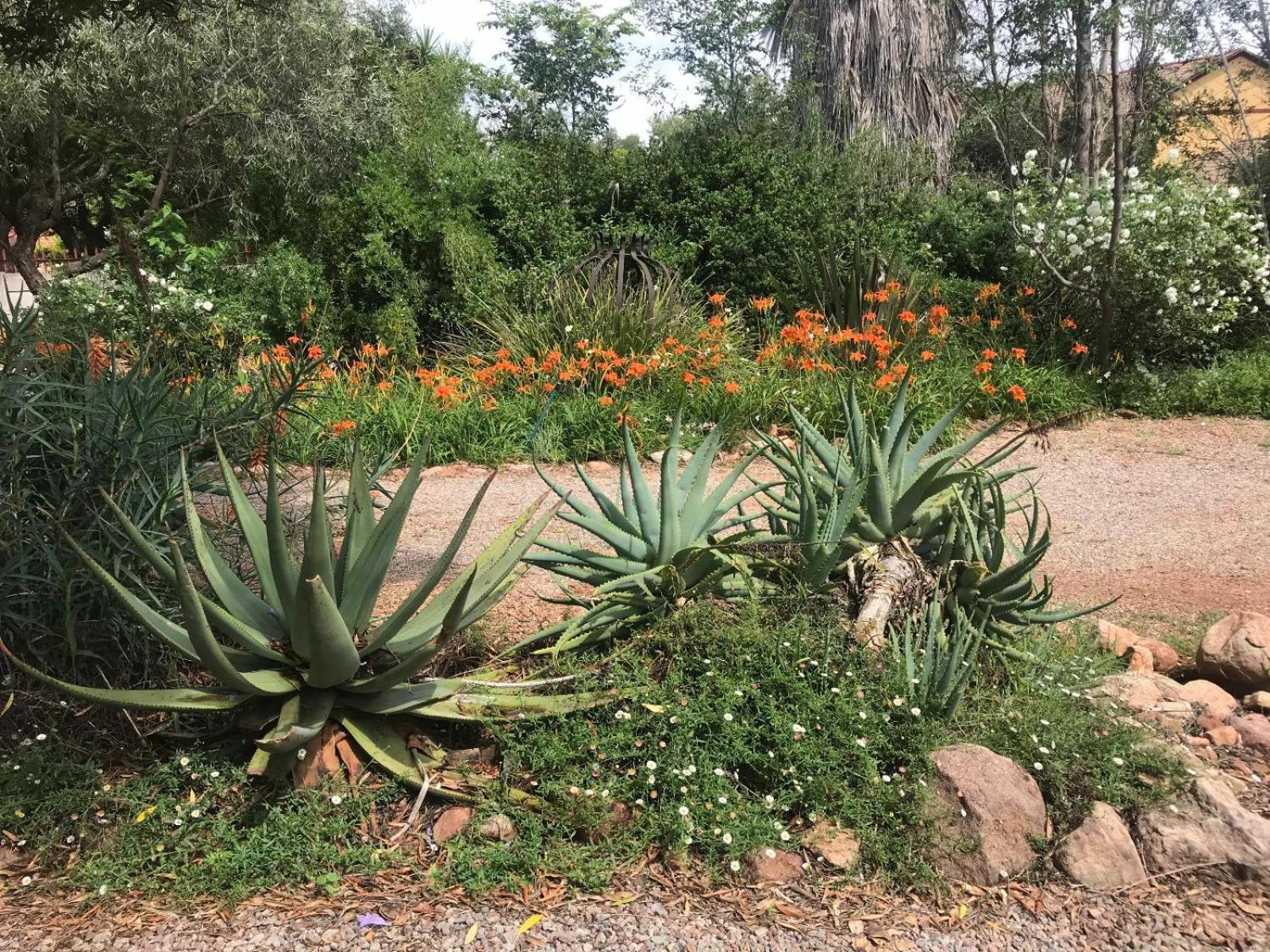 Aloe Guesthouse Klerksdorp