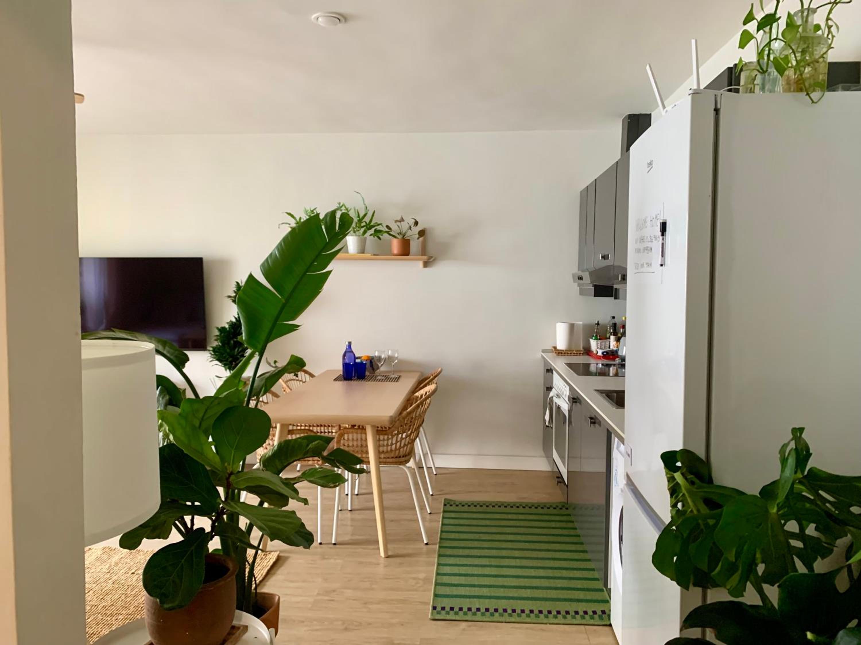 Cosy apartment in Almuñecar photo 3