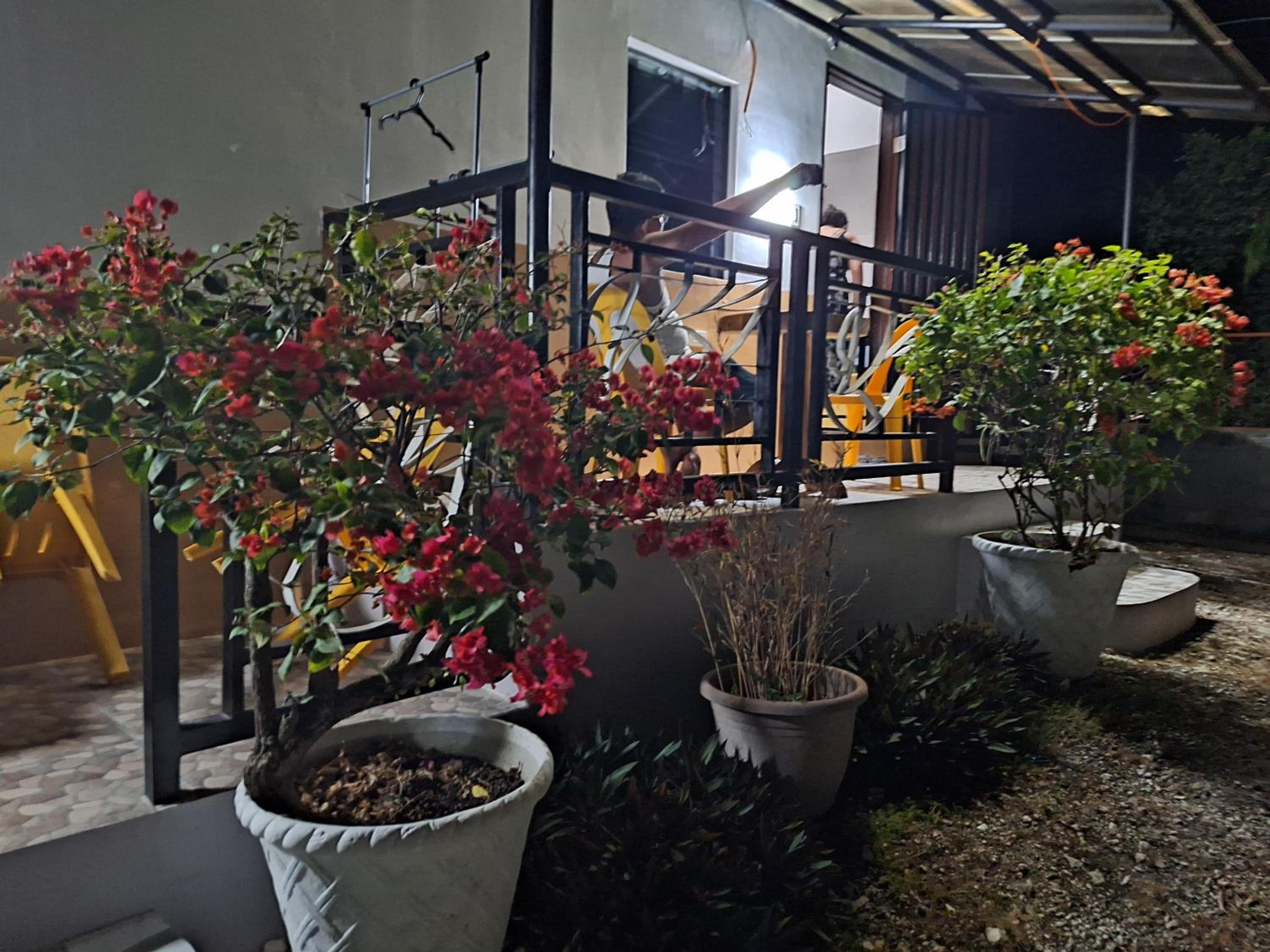 Photo 23