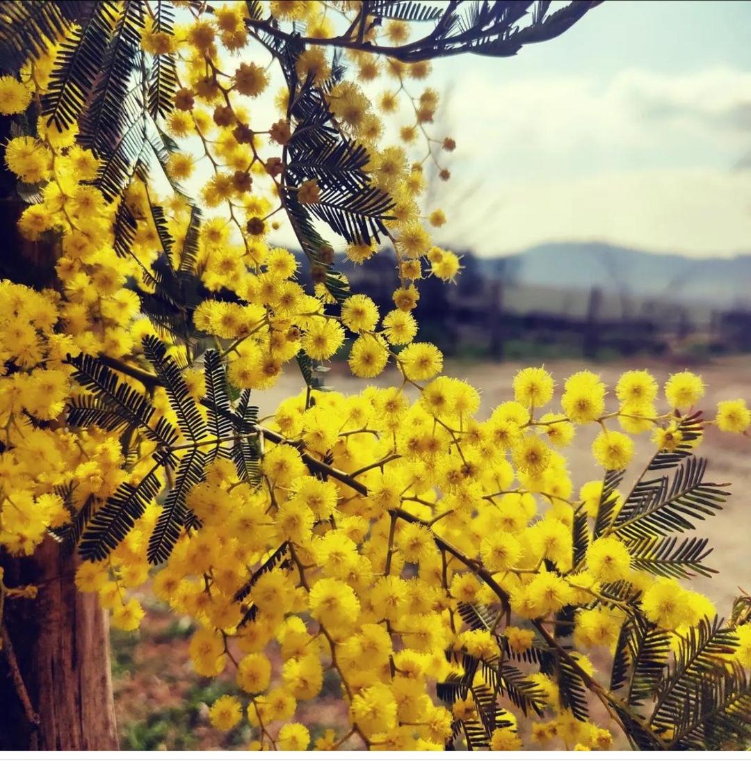 Monfrà - Ospitalità Rurale, Vigneti e Cantina photo 5