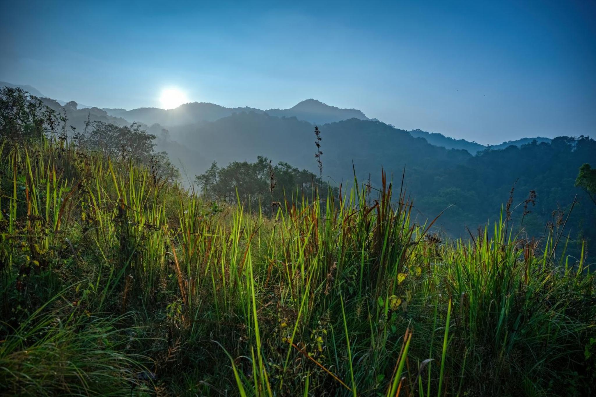 Wayanad Wild - A CGH Earth Experience