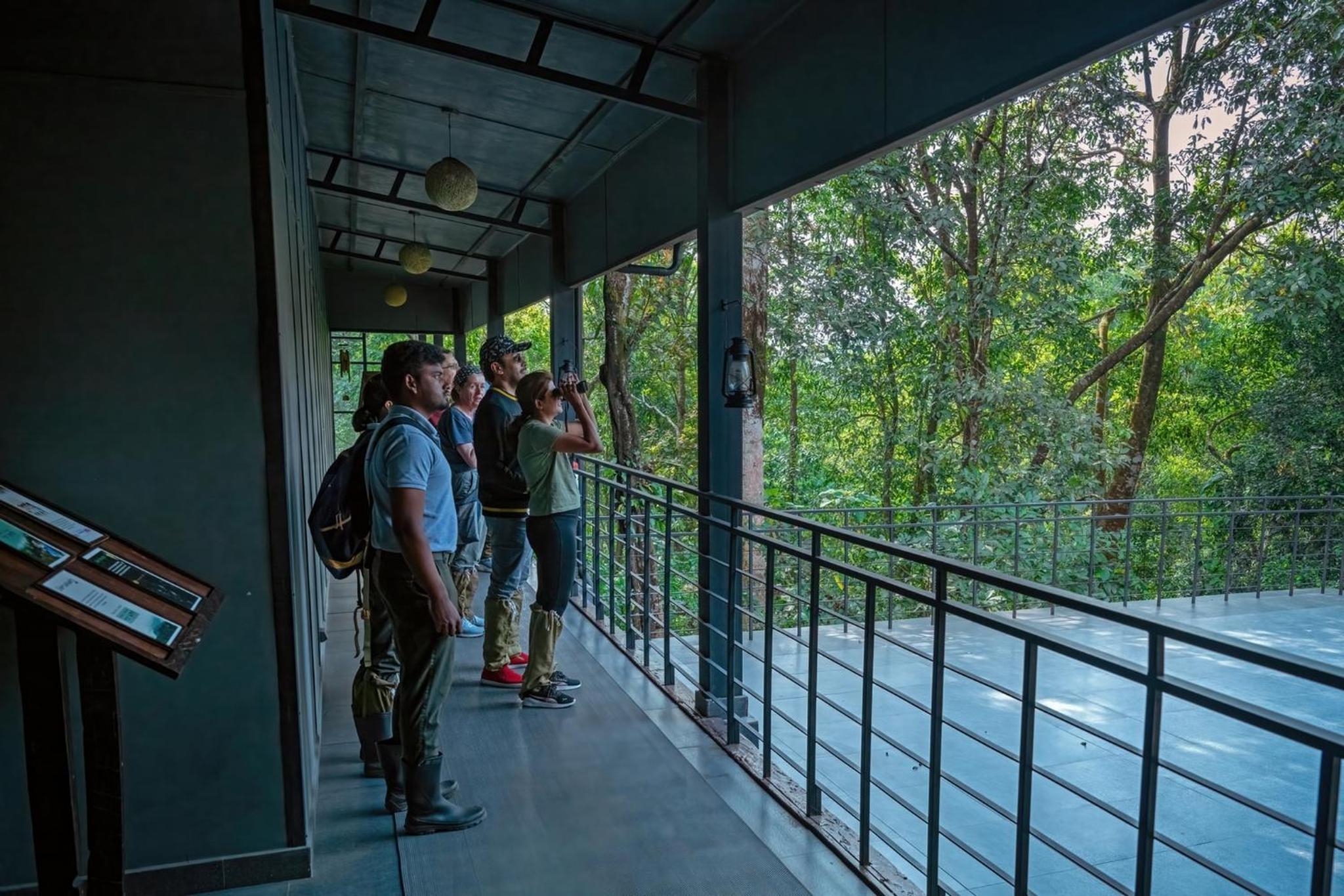 Wayanad Wild - A CGH Earth Experience