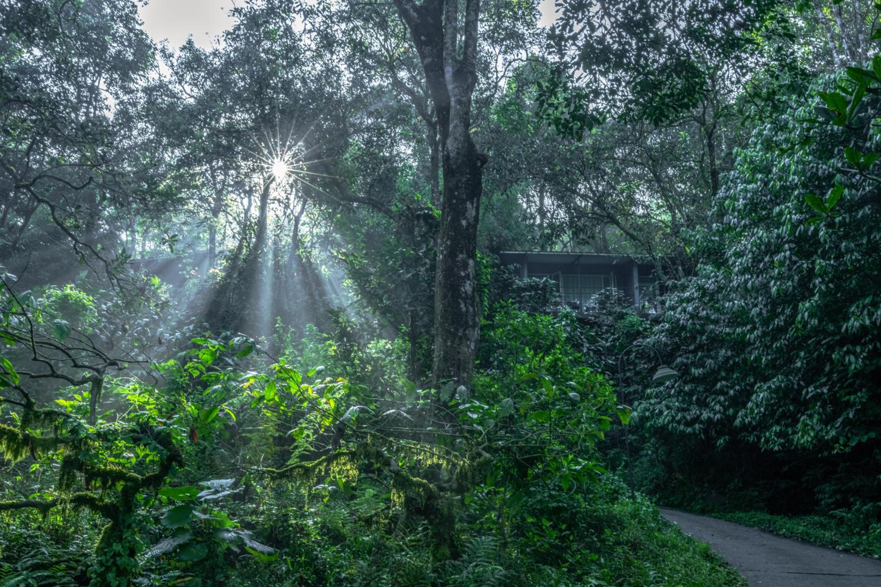 Wayanad Wild - A CGH Earth Experience