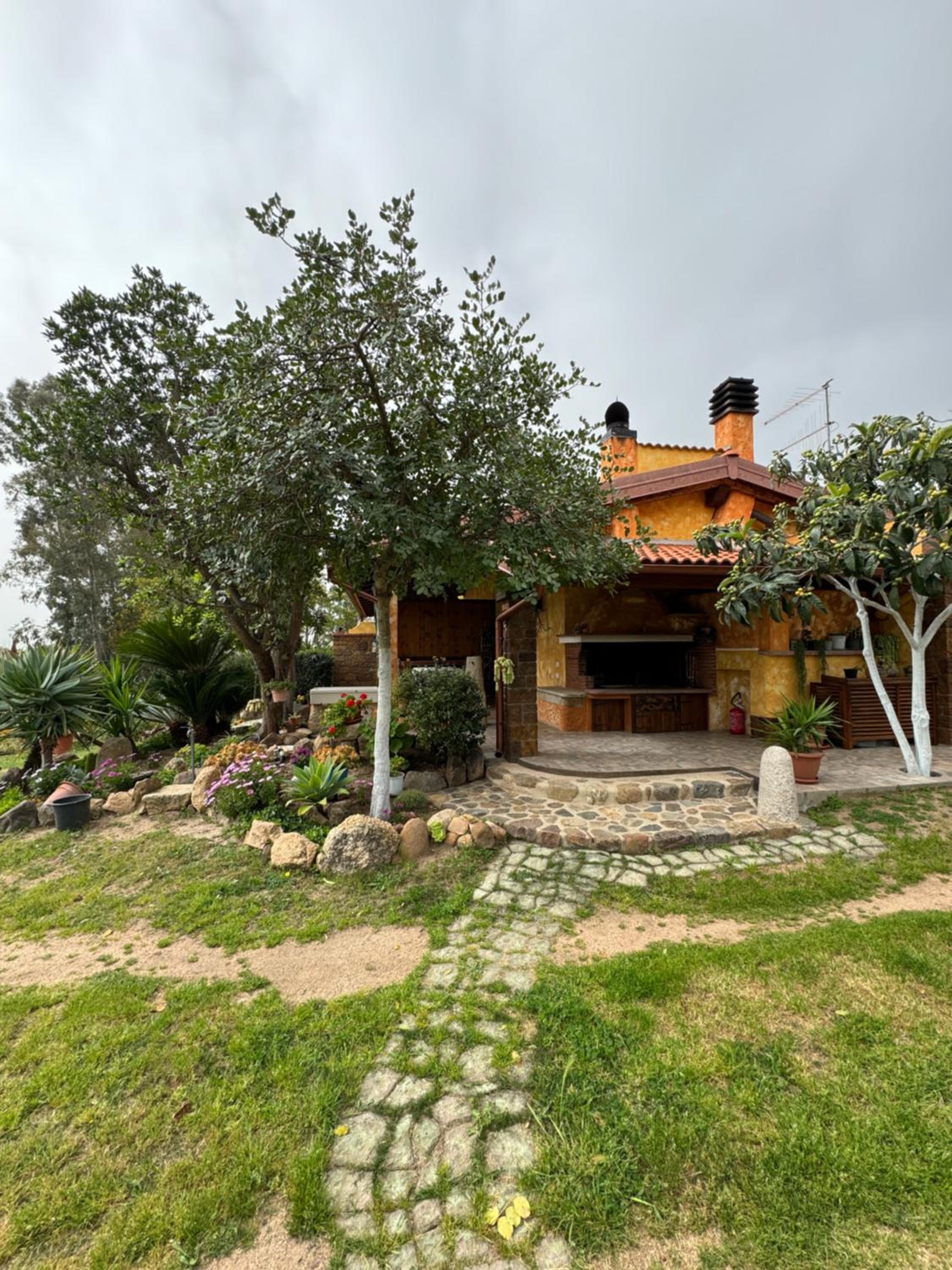 L'Uliveto HOLIDAY HOUSE