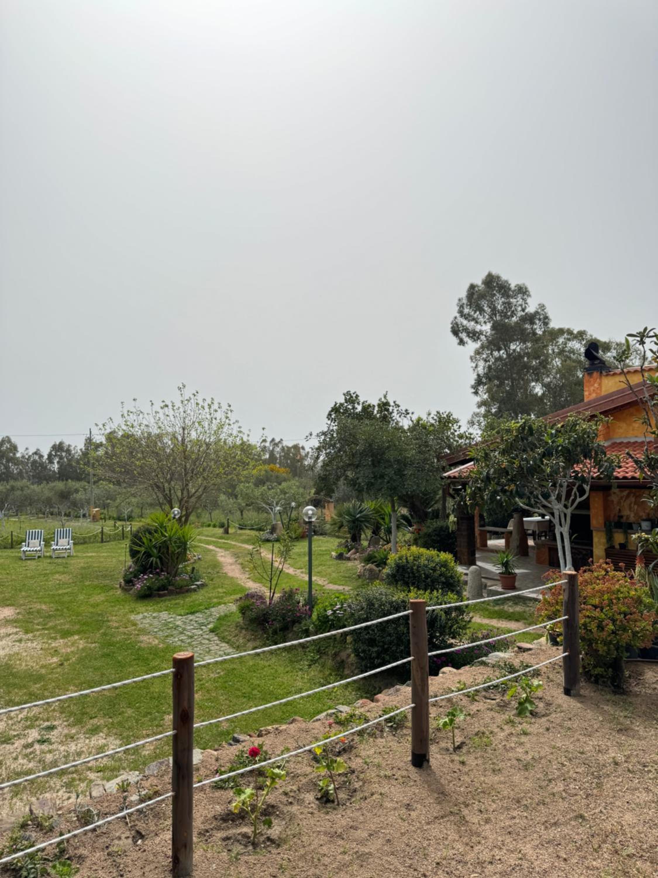 L'Uliveto HOLIDAY HOUSE