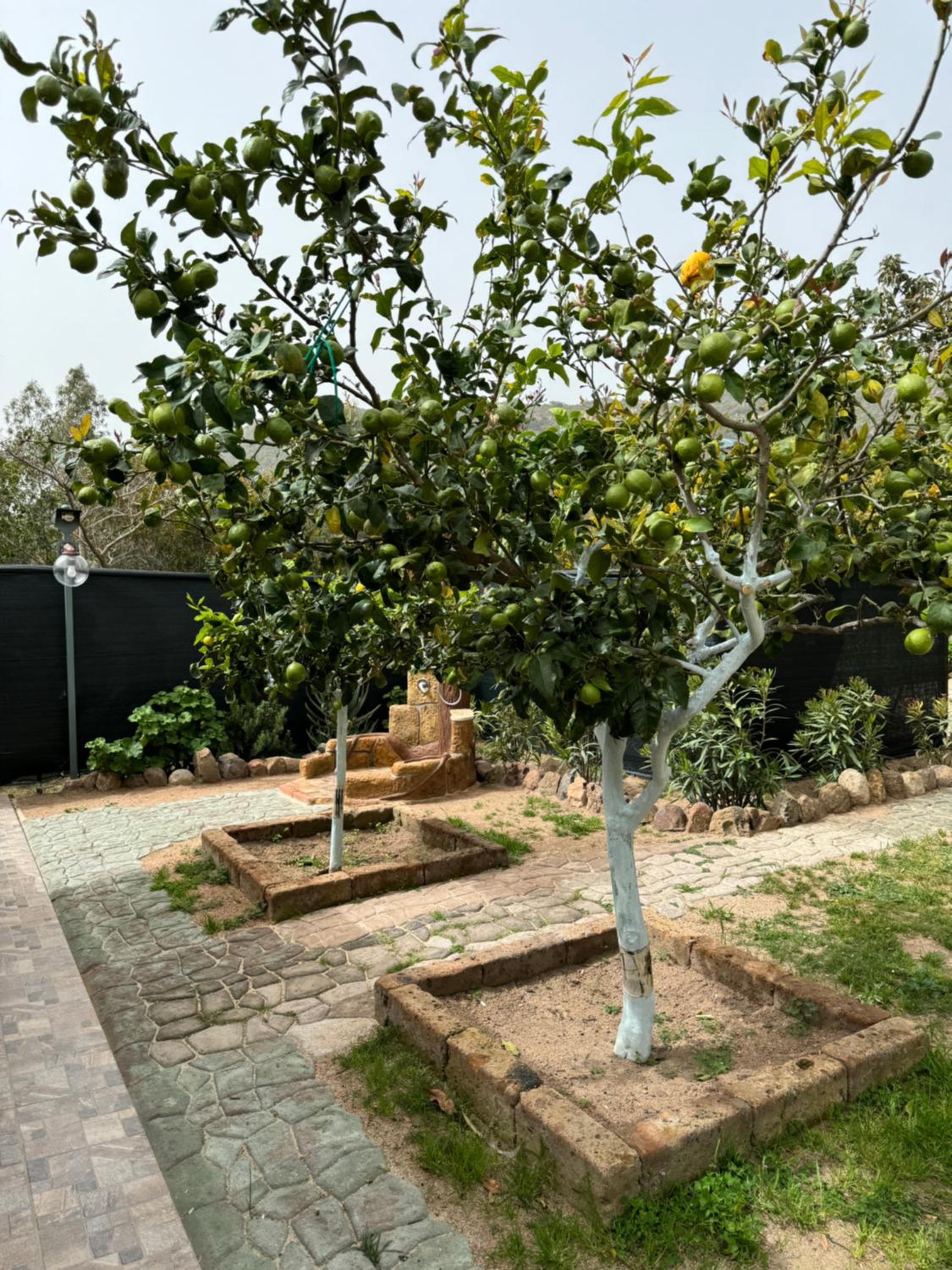 L'Uliveto HOLIDAY HOUSE