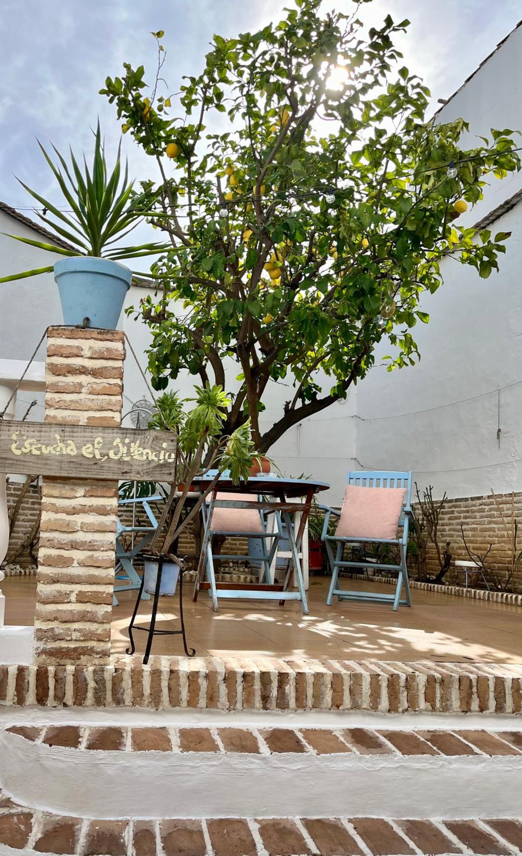 El Patio del Limonero