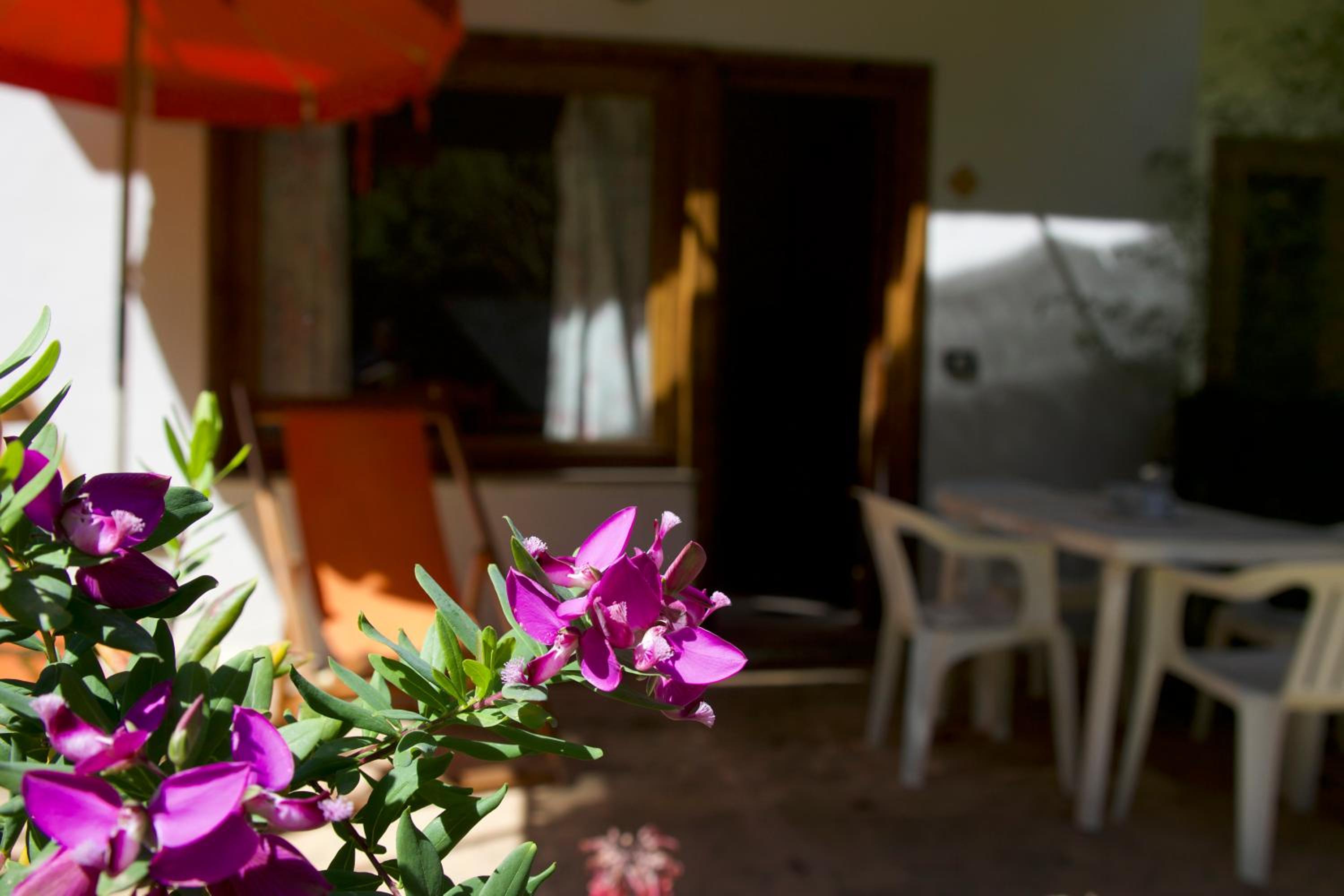 Case e Appartamenti Vacanze a Bivona - sul mare