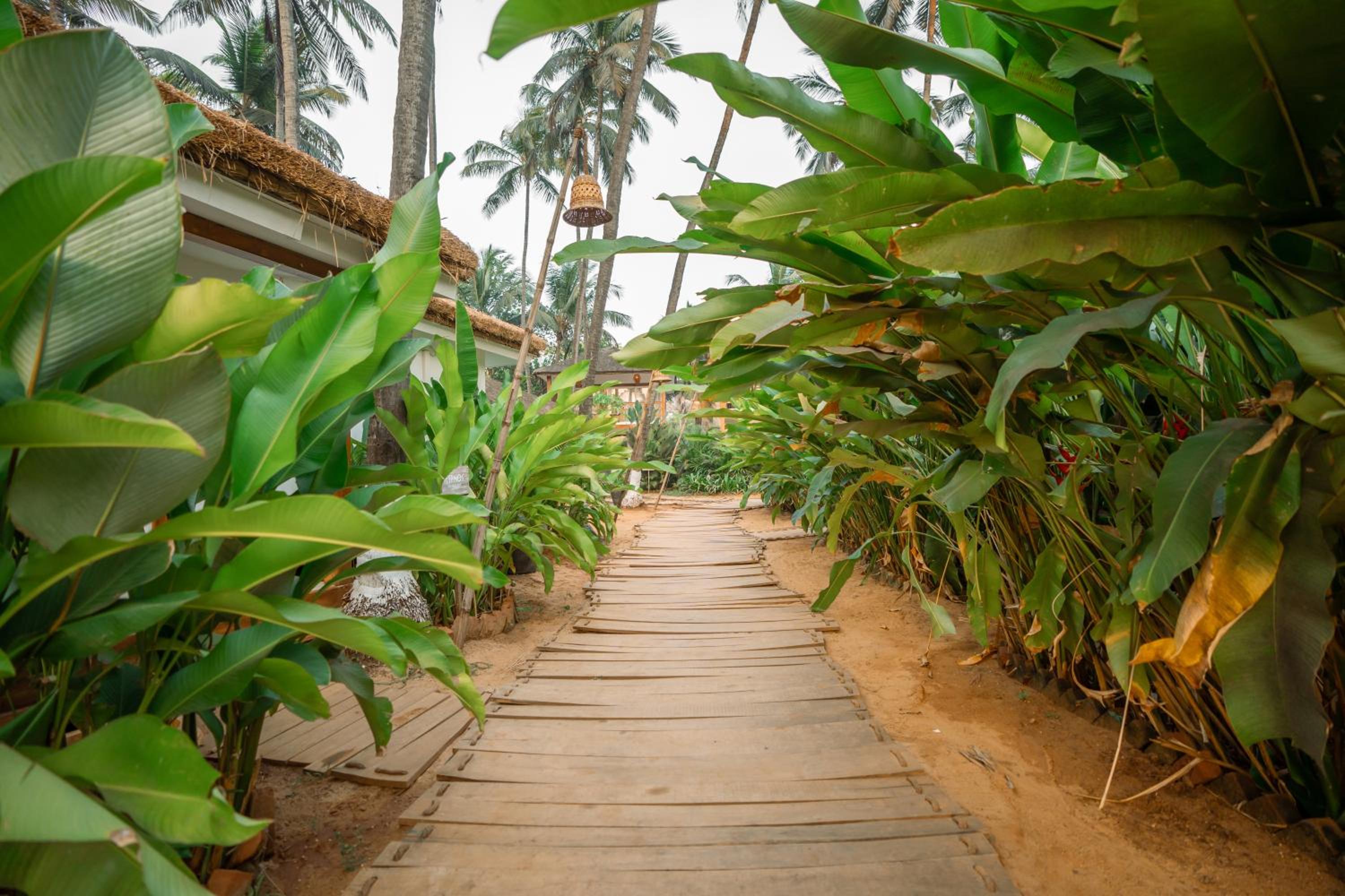Thalassa Beach Boutique Resort