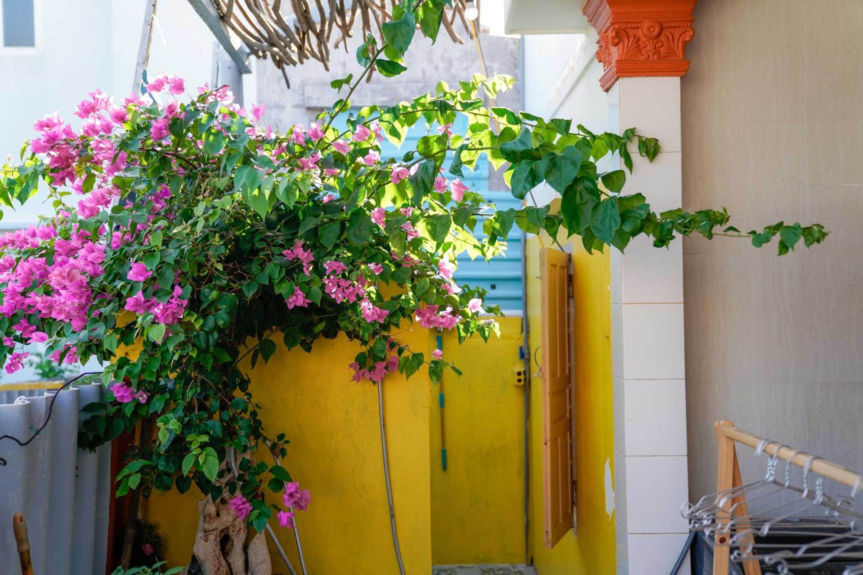 Xa Bờ Homestay Đảo Phú Quý view 4