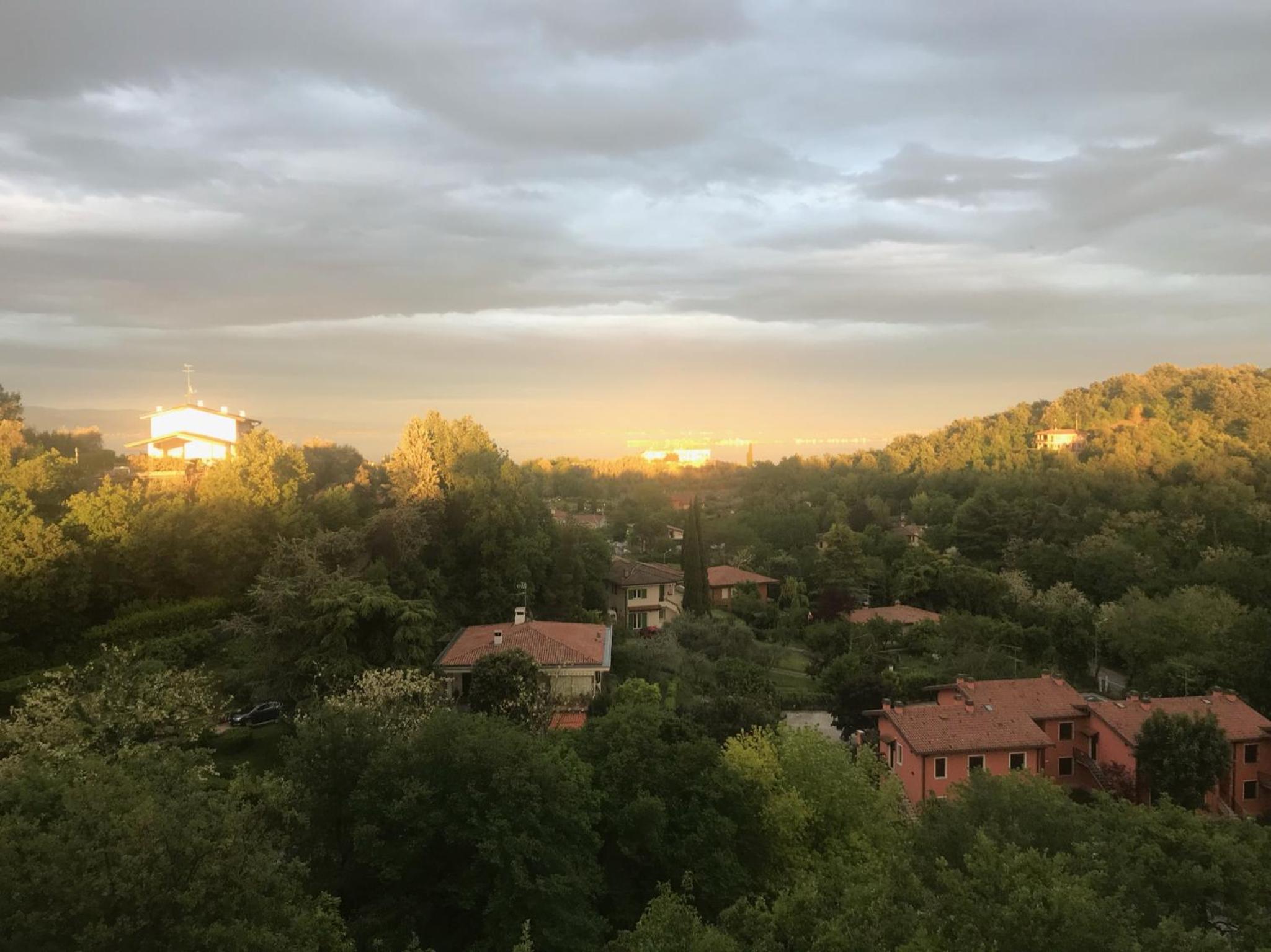 Photo 25