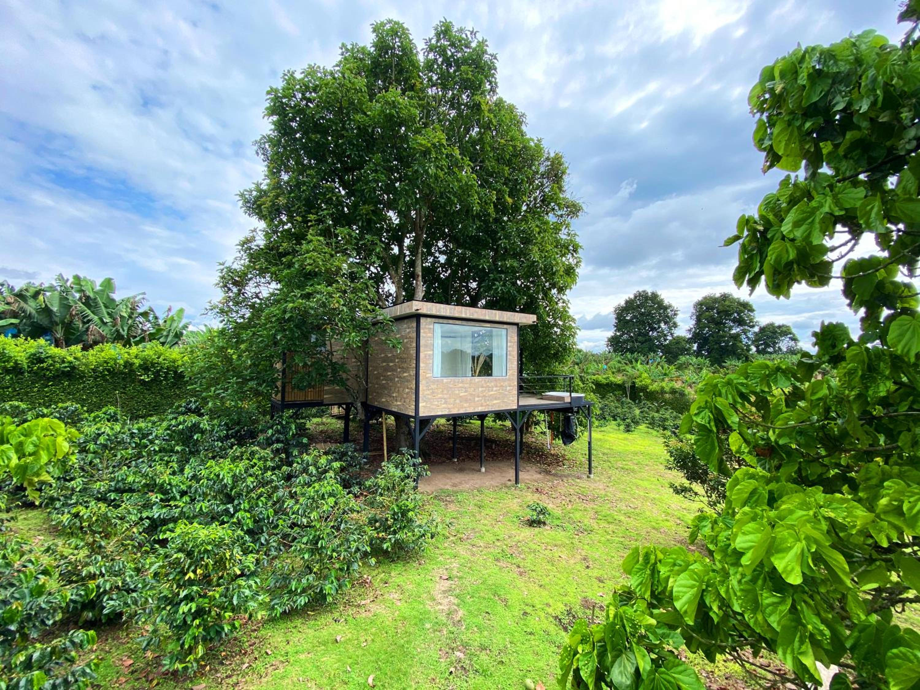 Casa del árbol con jacuzzi privado