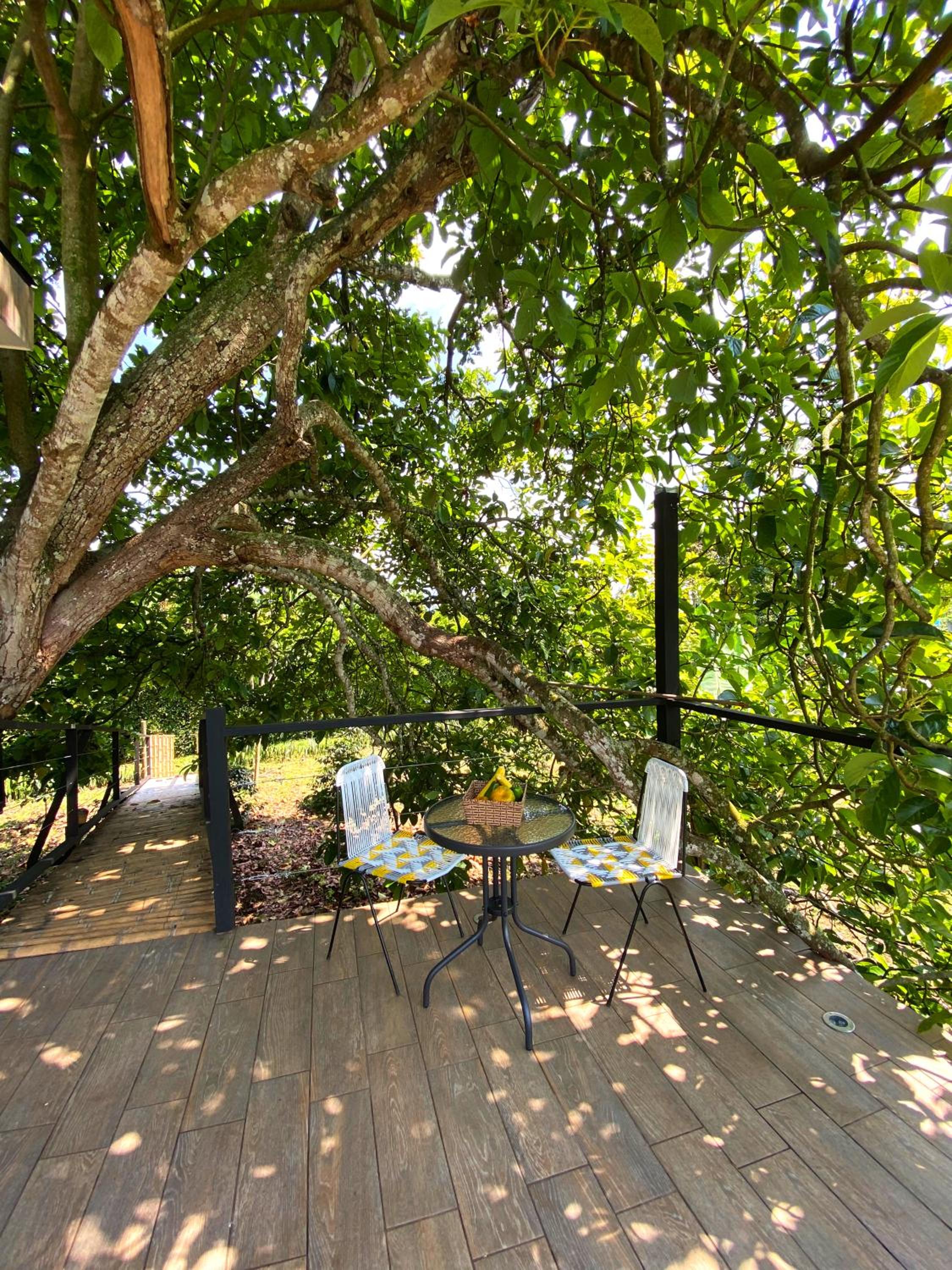 Casa del árbol con jacuzzi privado