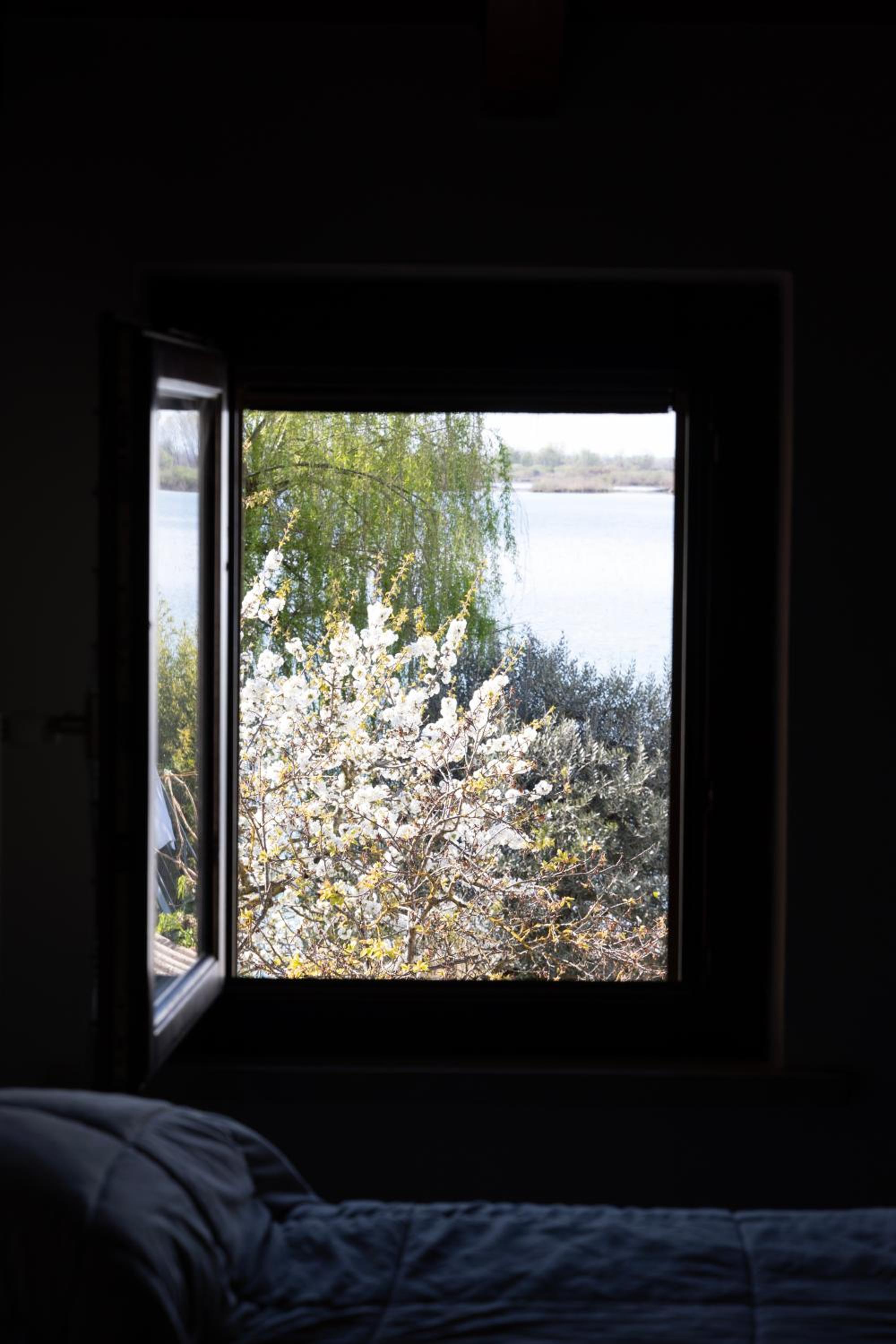 B&B Casanonni Borgo Angeli