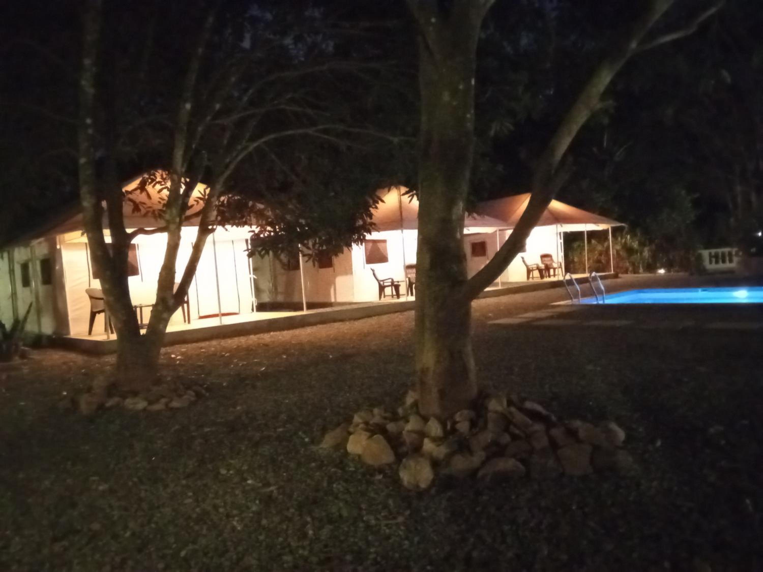 Torch Ginger Homestay