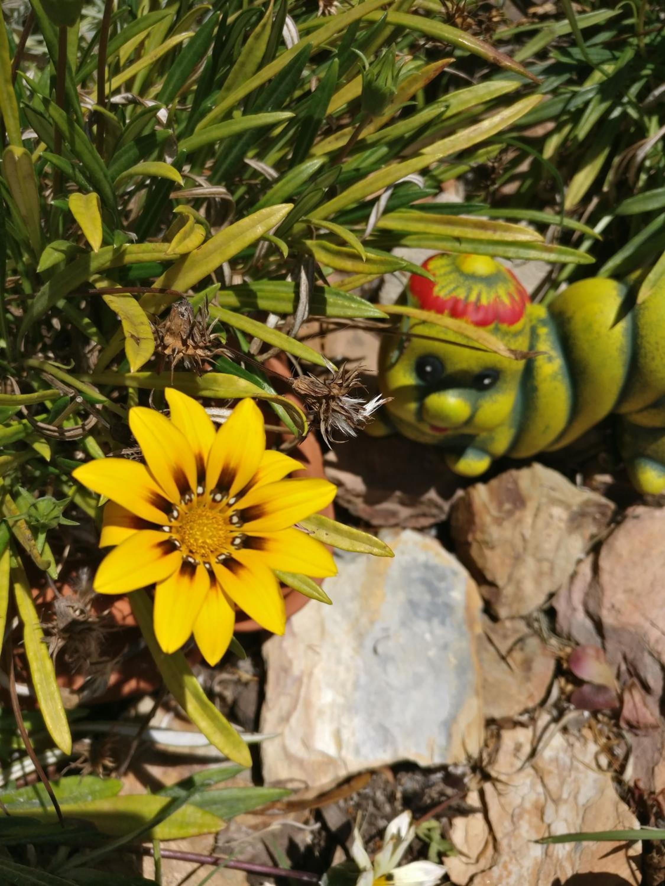Photo 42