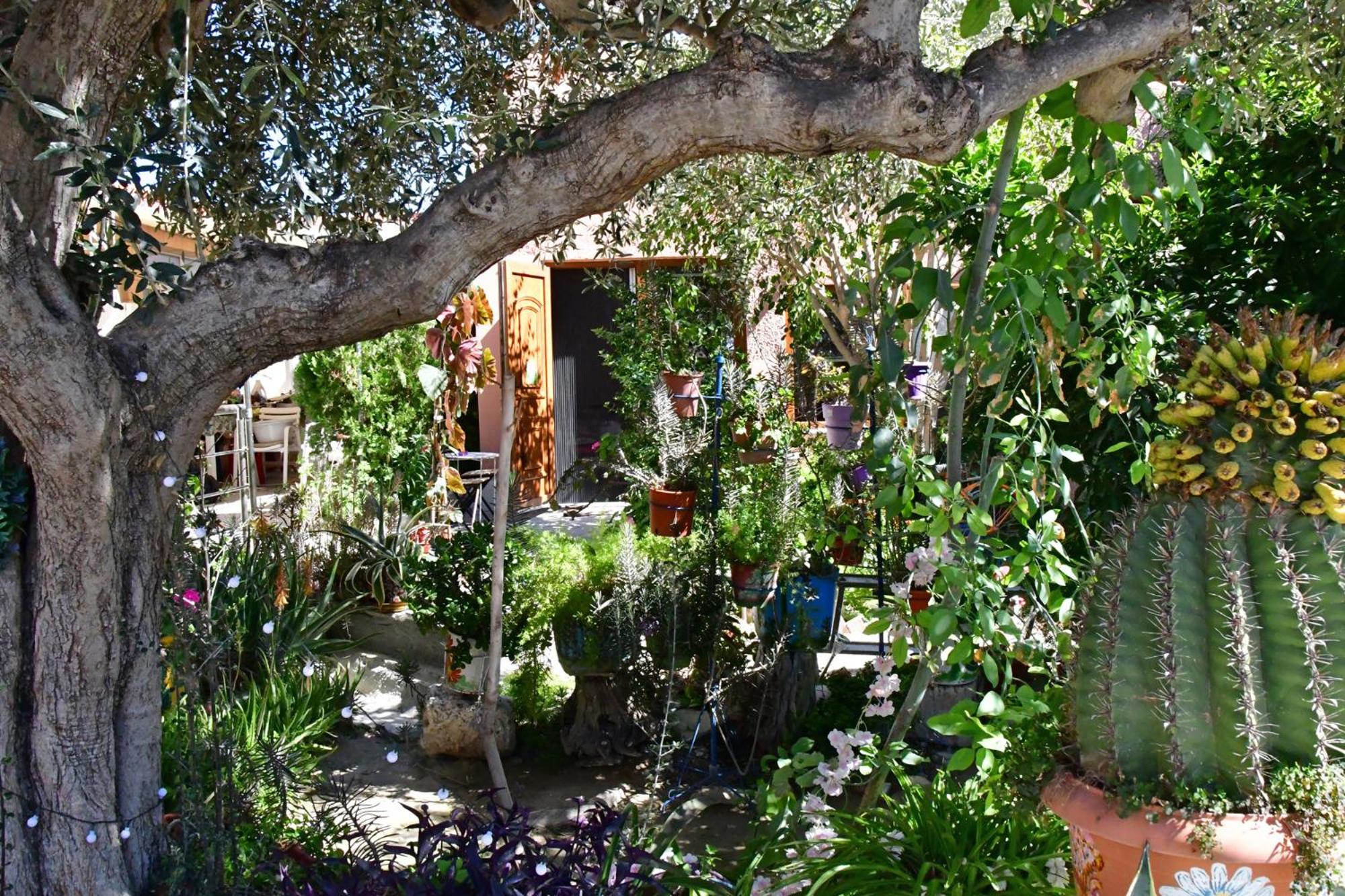 Kalokenti Studios view 2