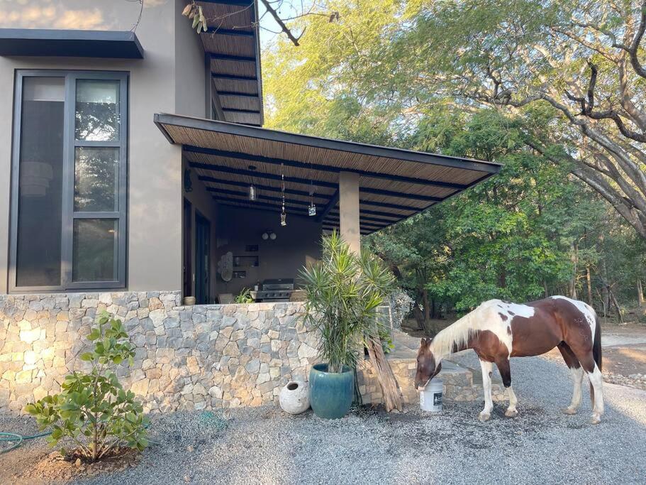 New Barndominium with AC at Horse Stables view 5