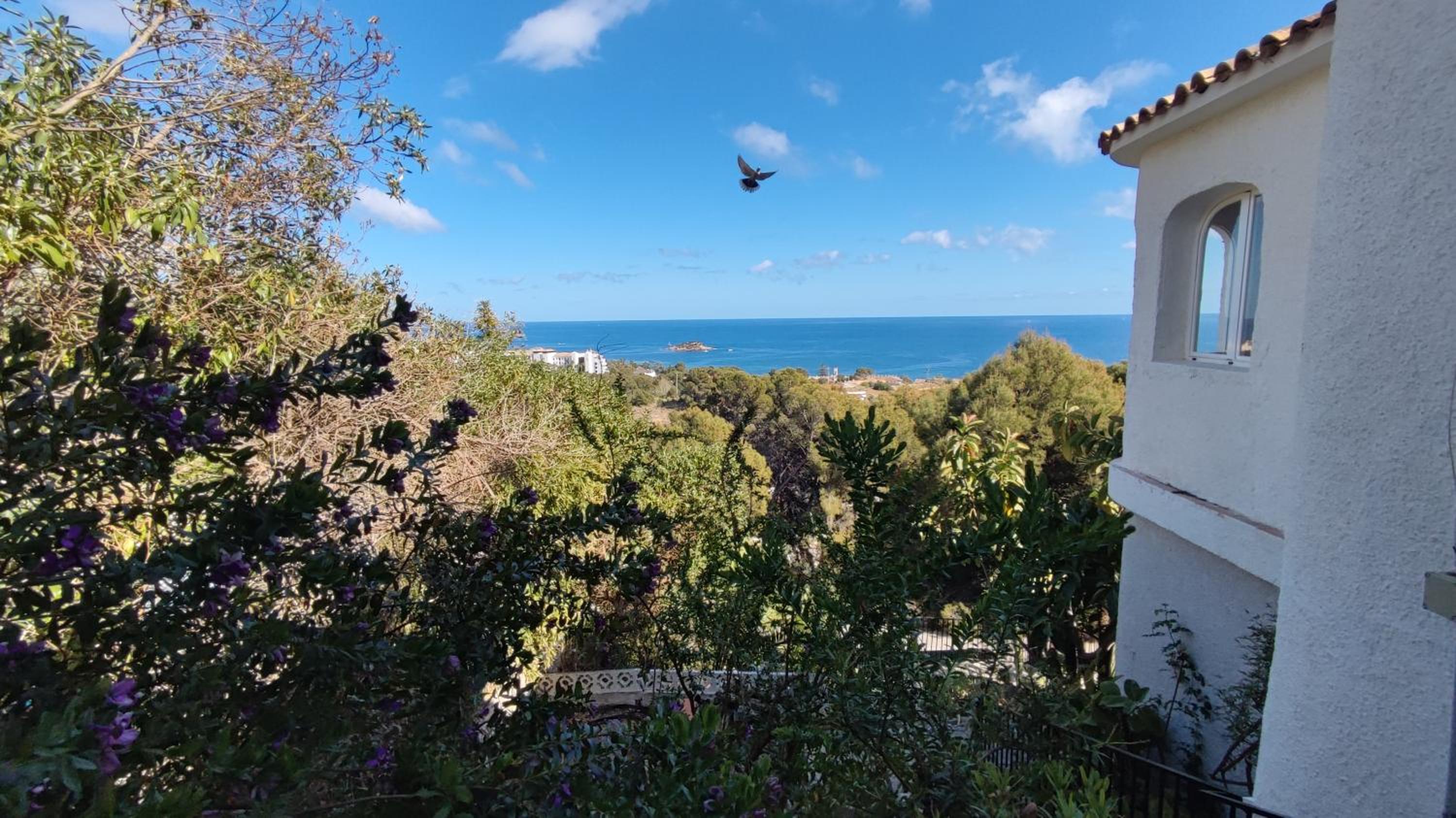 Casa Alberto - Altea