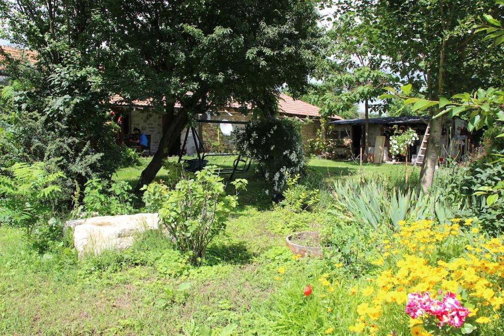 Rustic House Prima Priori