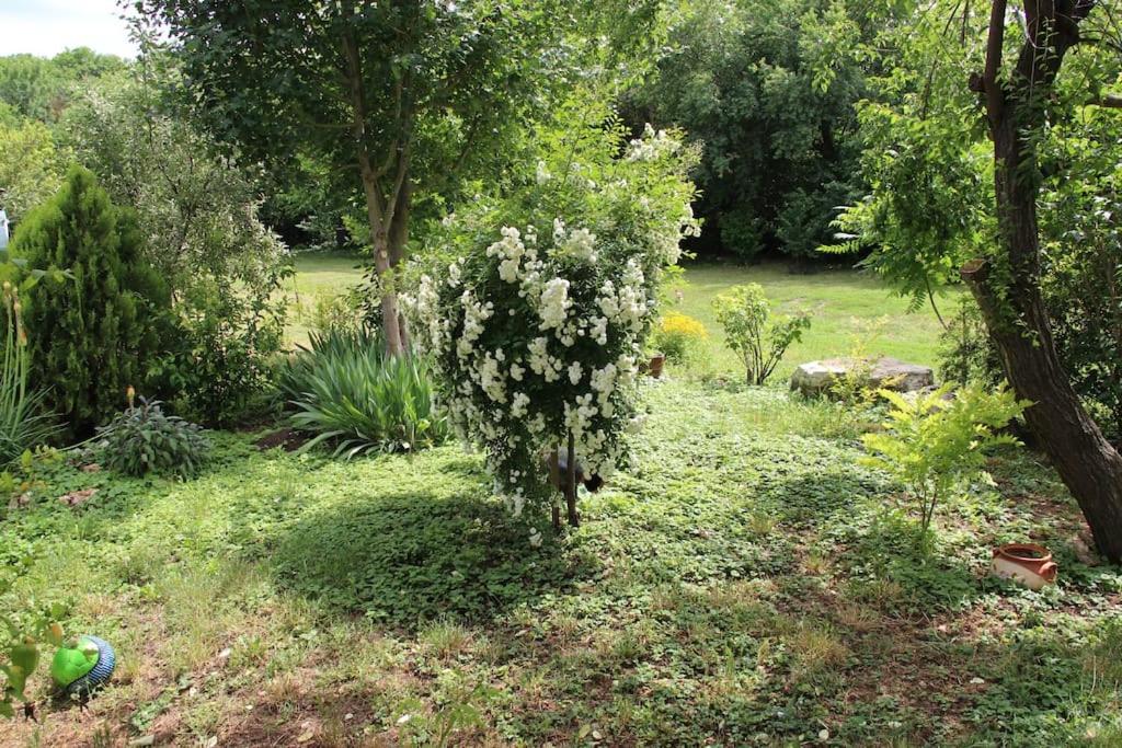 Rustic House Prima Priori