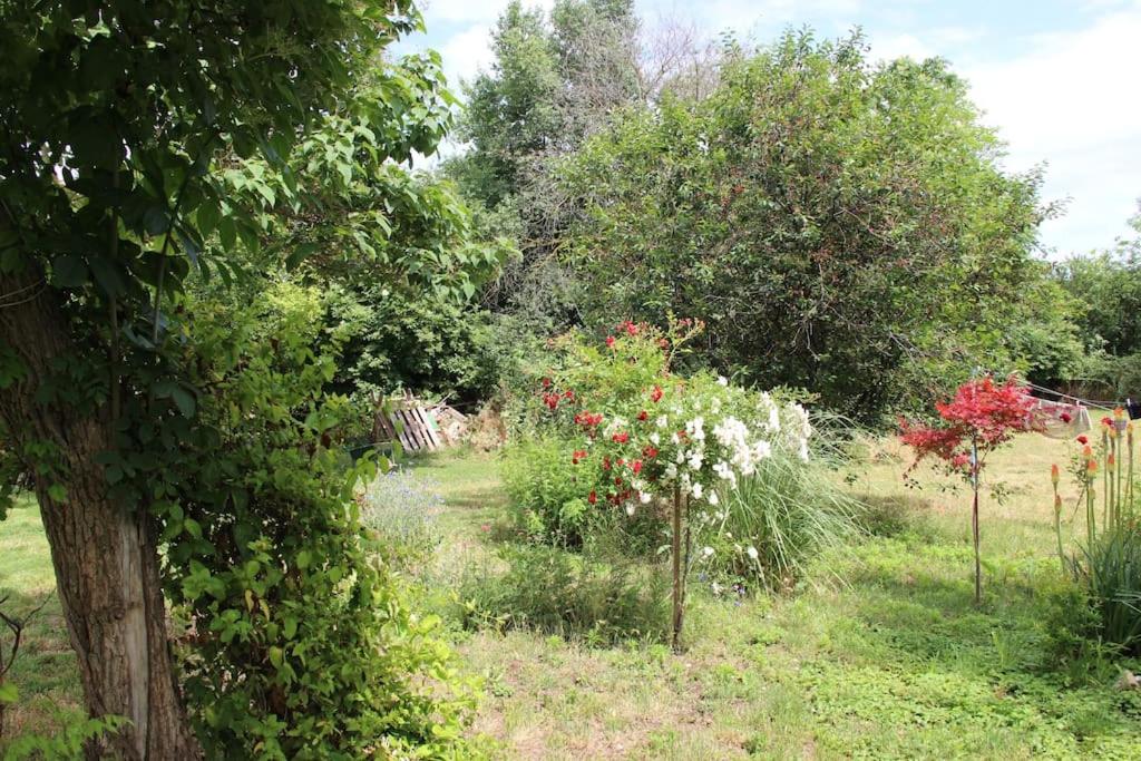 Rustic House Prima Priori