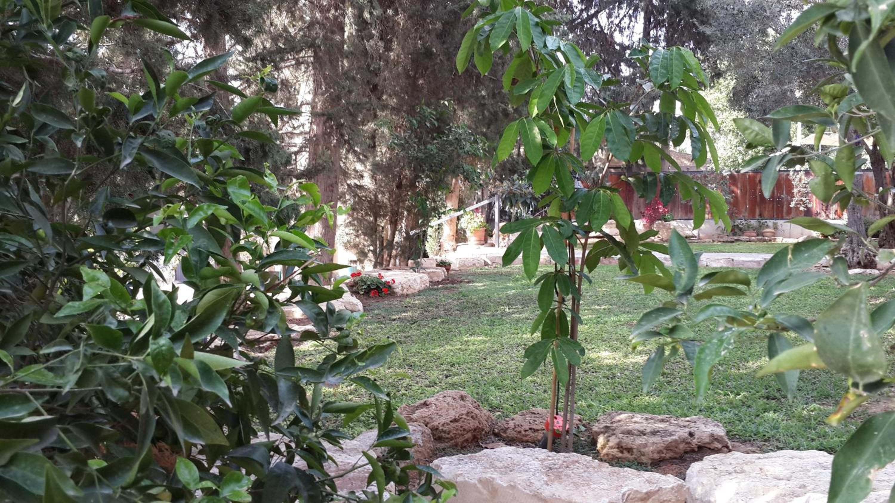 Photo 10