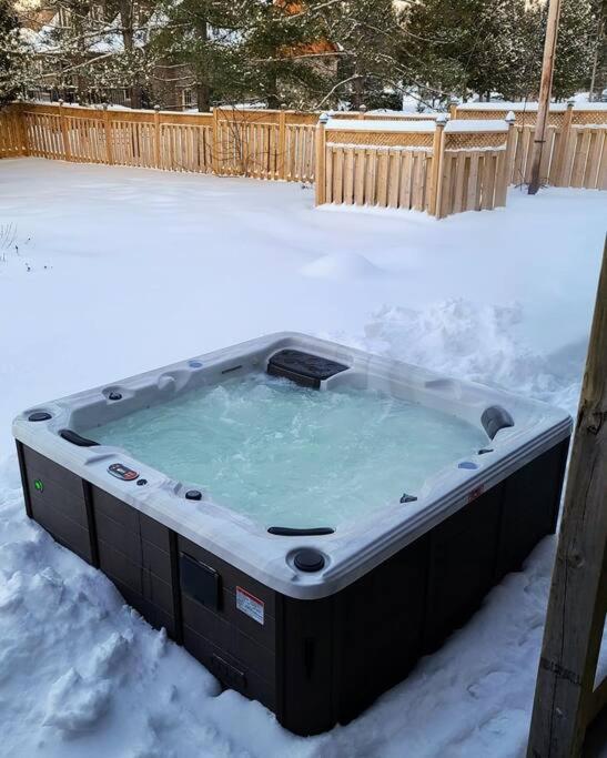 Luxury Lakeview Dream Cottage with Hot Tub