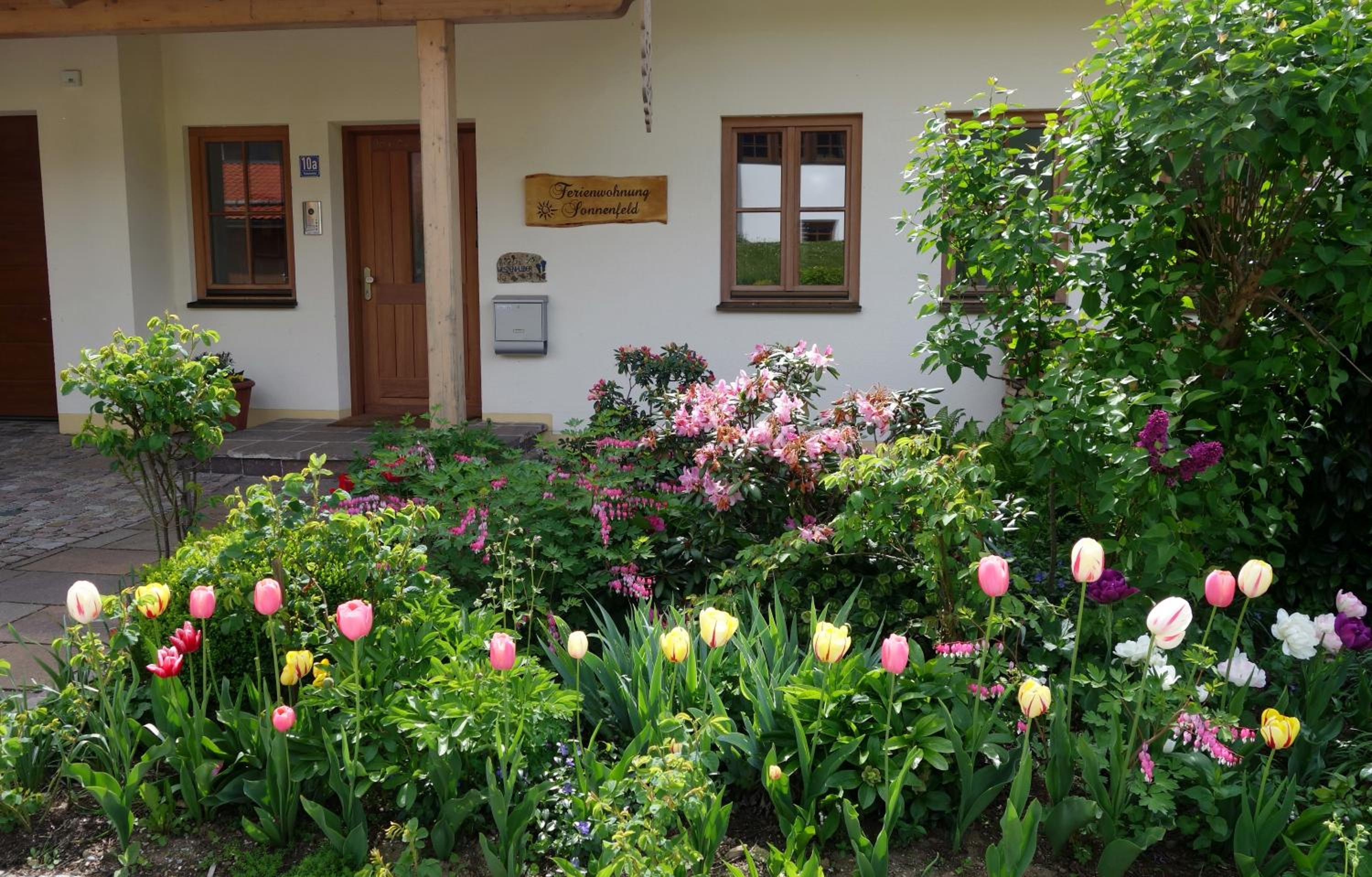 Photo 47