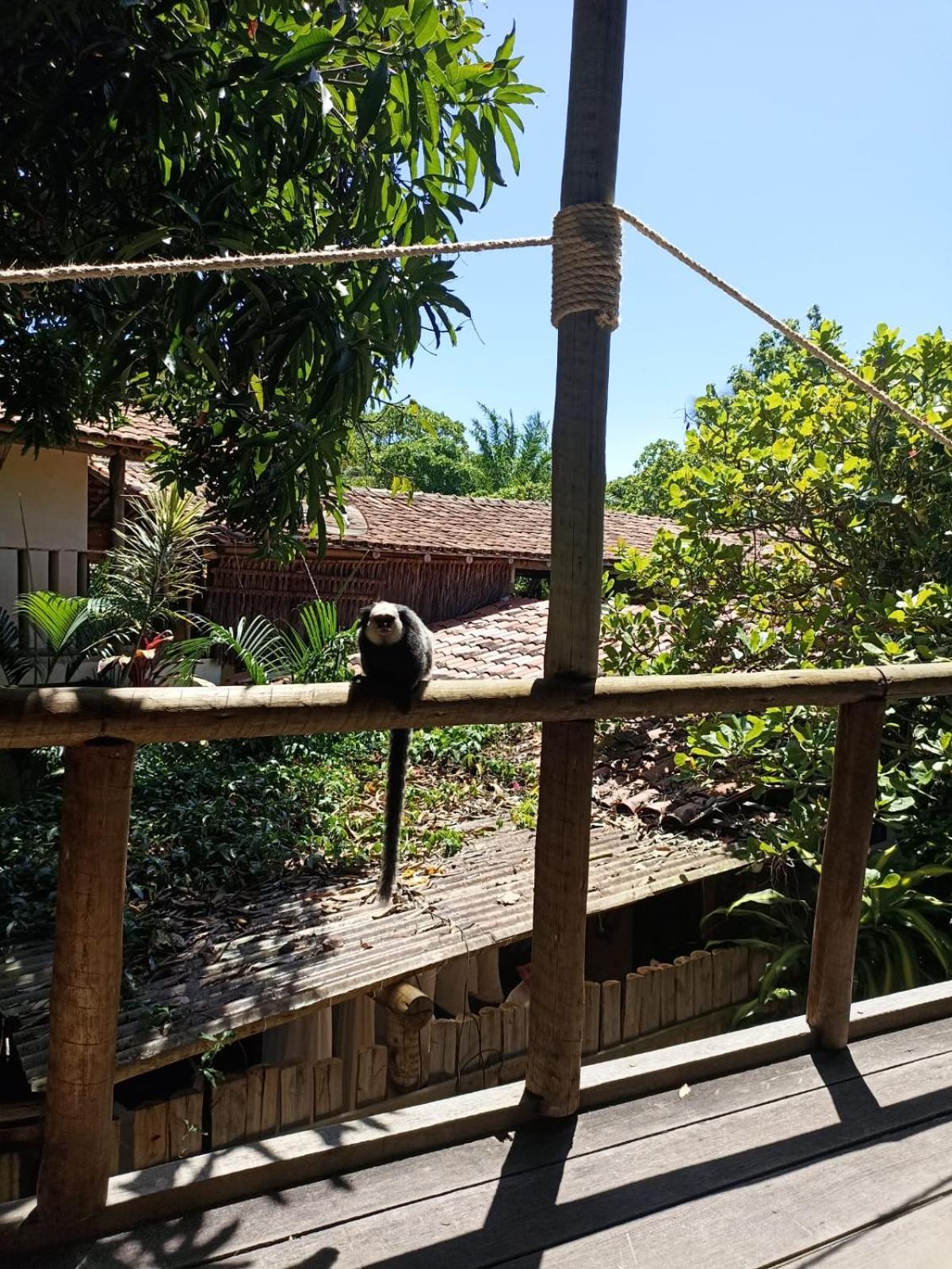 Vila Caraíva Hospedaria