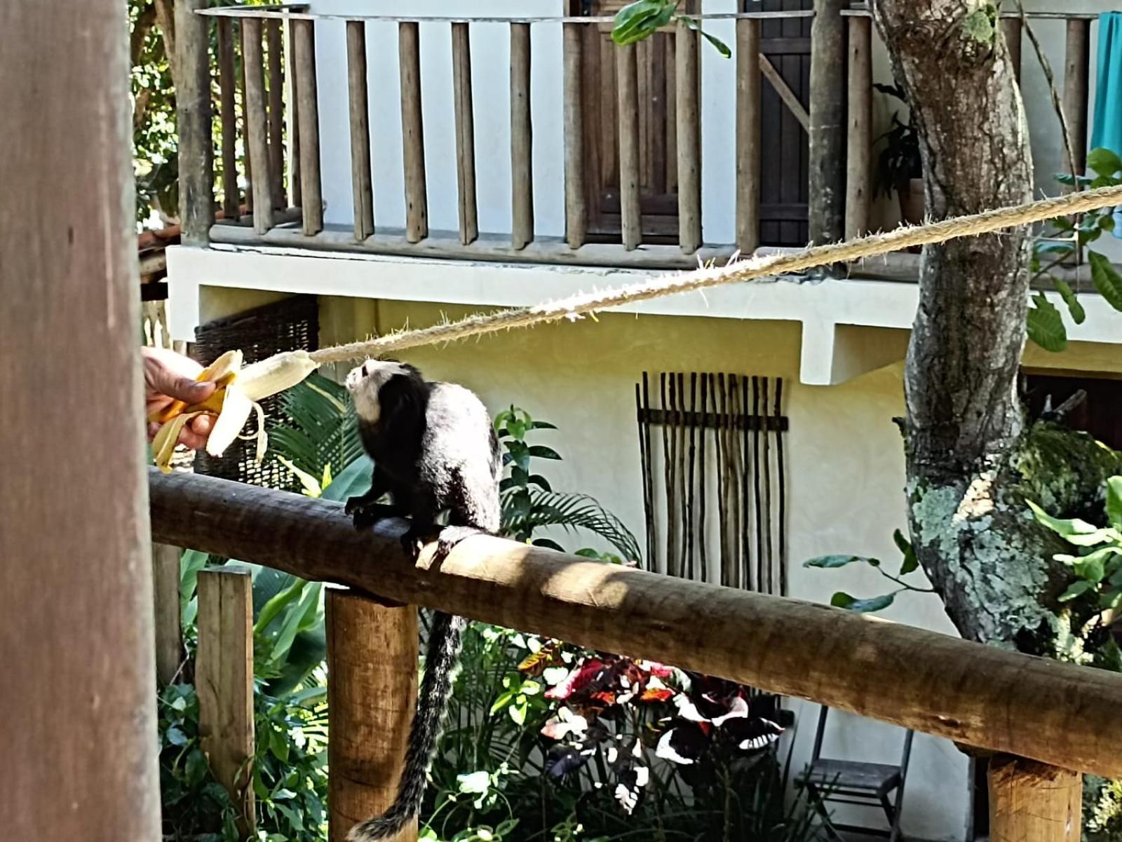 Vila Caraíva Hospedaria