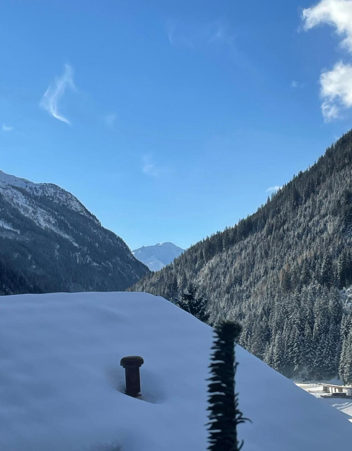 Apart Sonnenheim