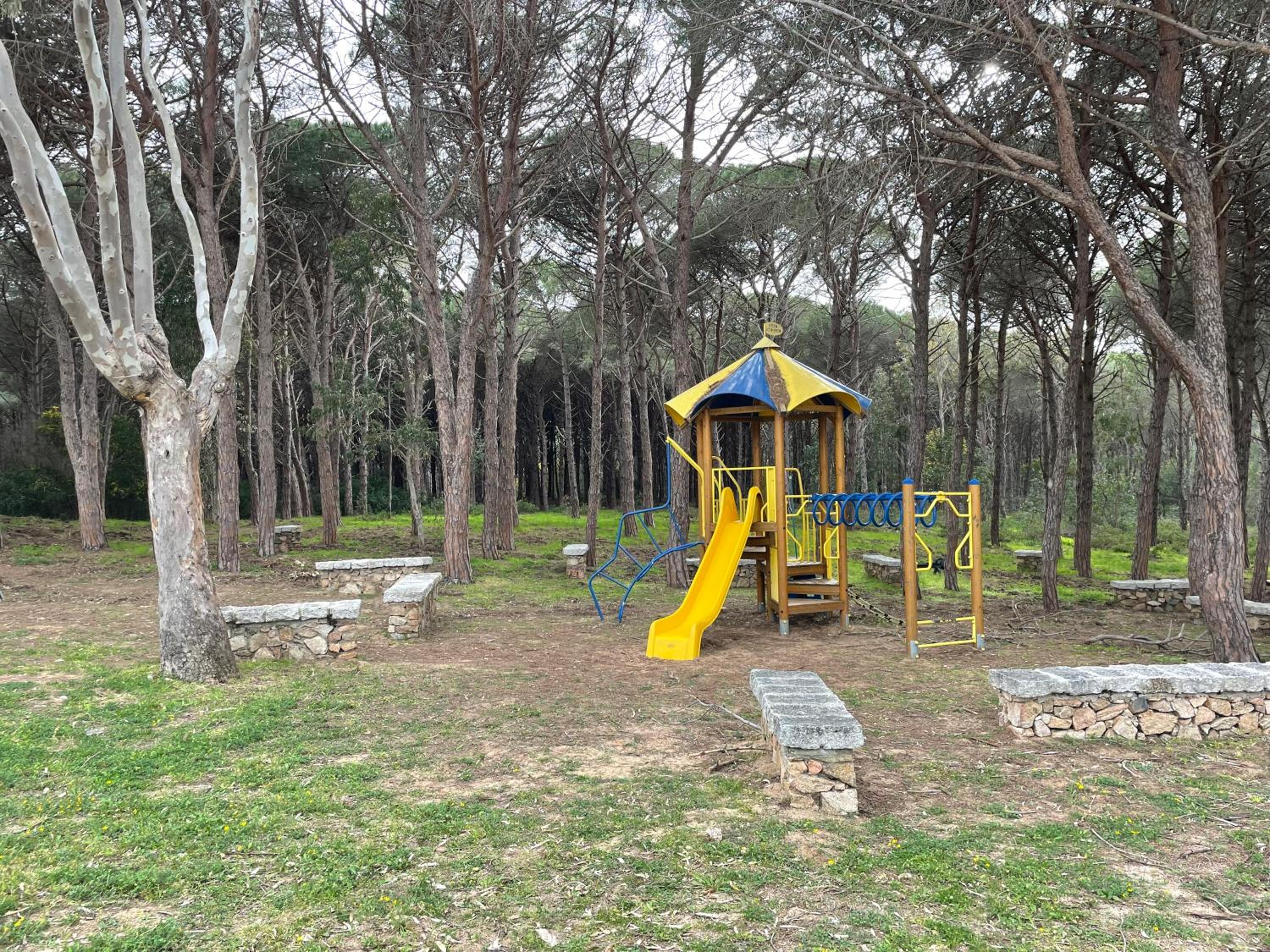 Photo 17