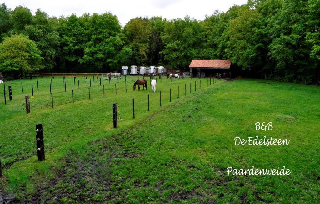B&B De Edelsteen