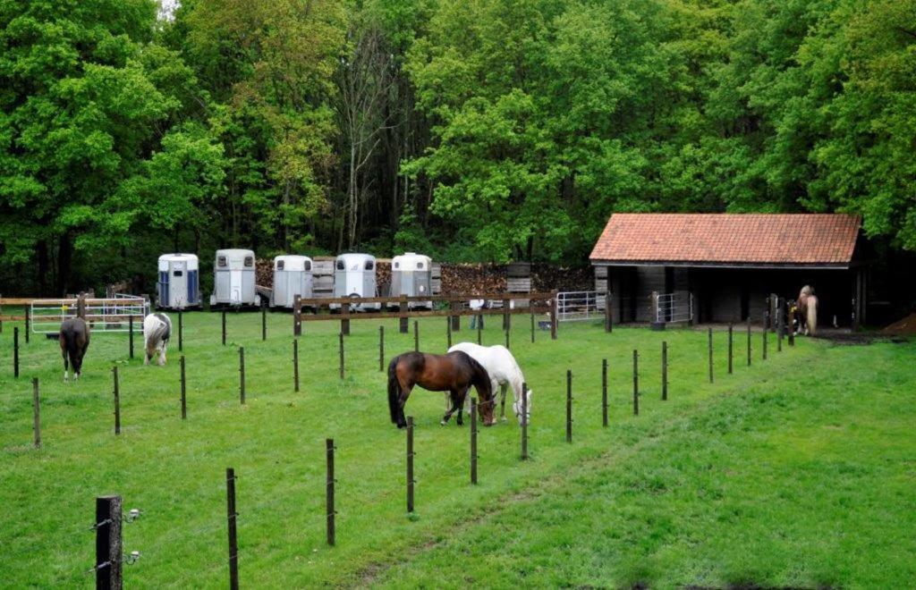 B&B De Edelsteen