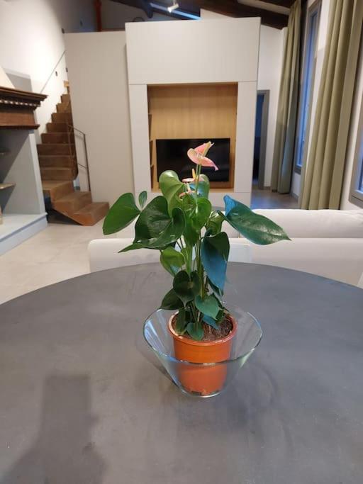 Ponte Vecchio - Luxury Appartment - Town Center