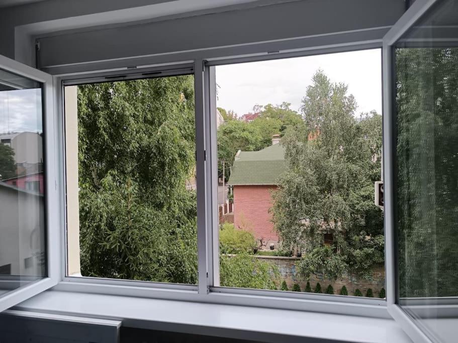 Cozy apartment in Vracar view 5