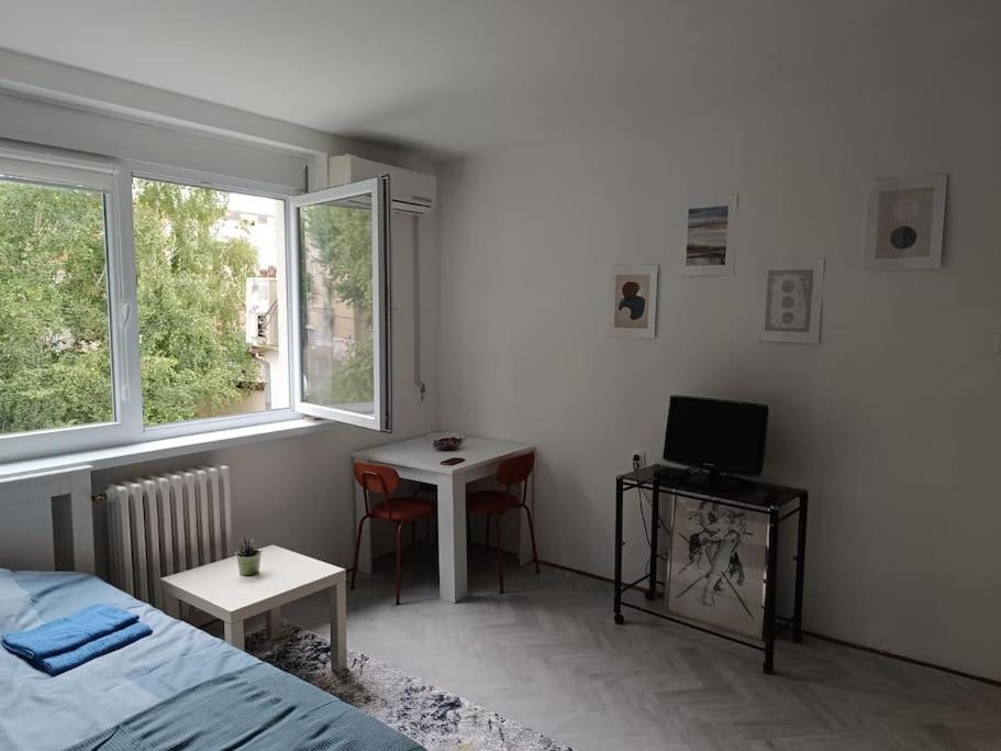 Cozy apartment in Vracar view 3