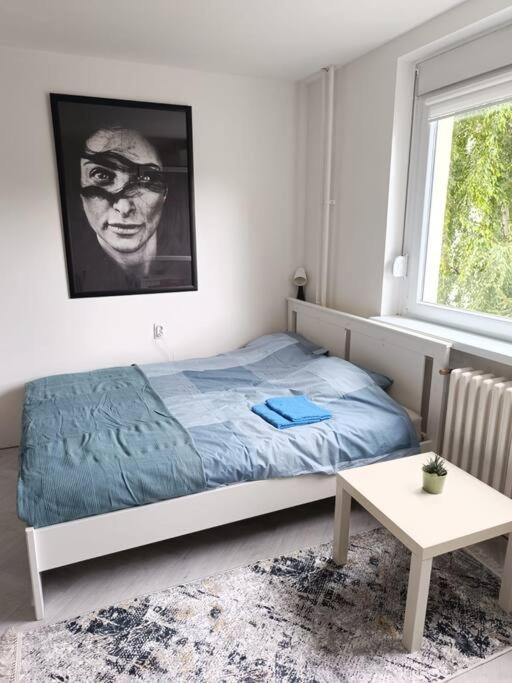 Cozy apartment in Vracar view 4