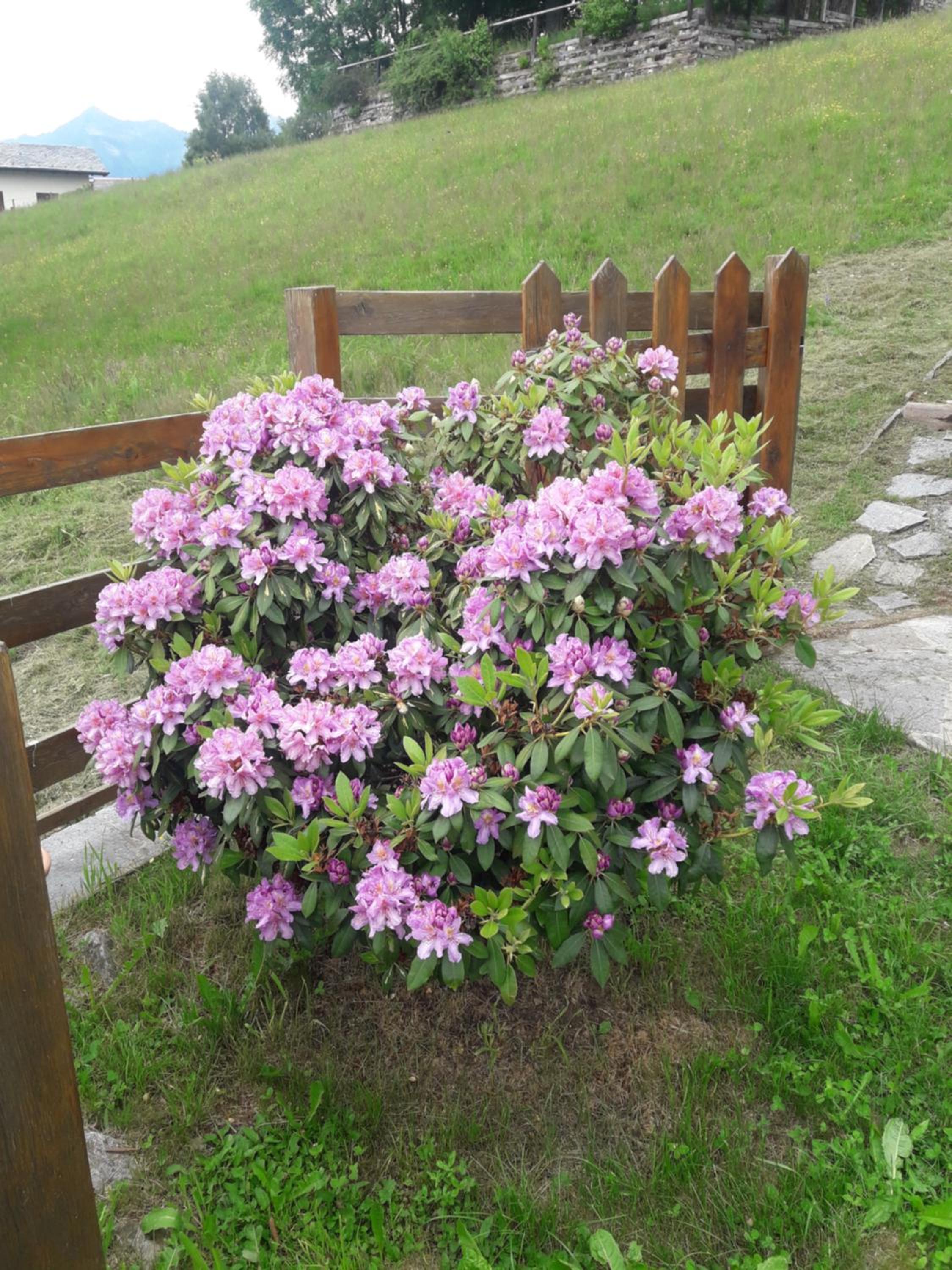 Photo 57