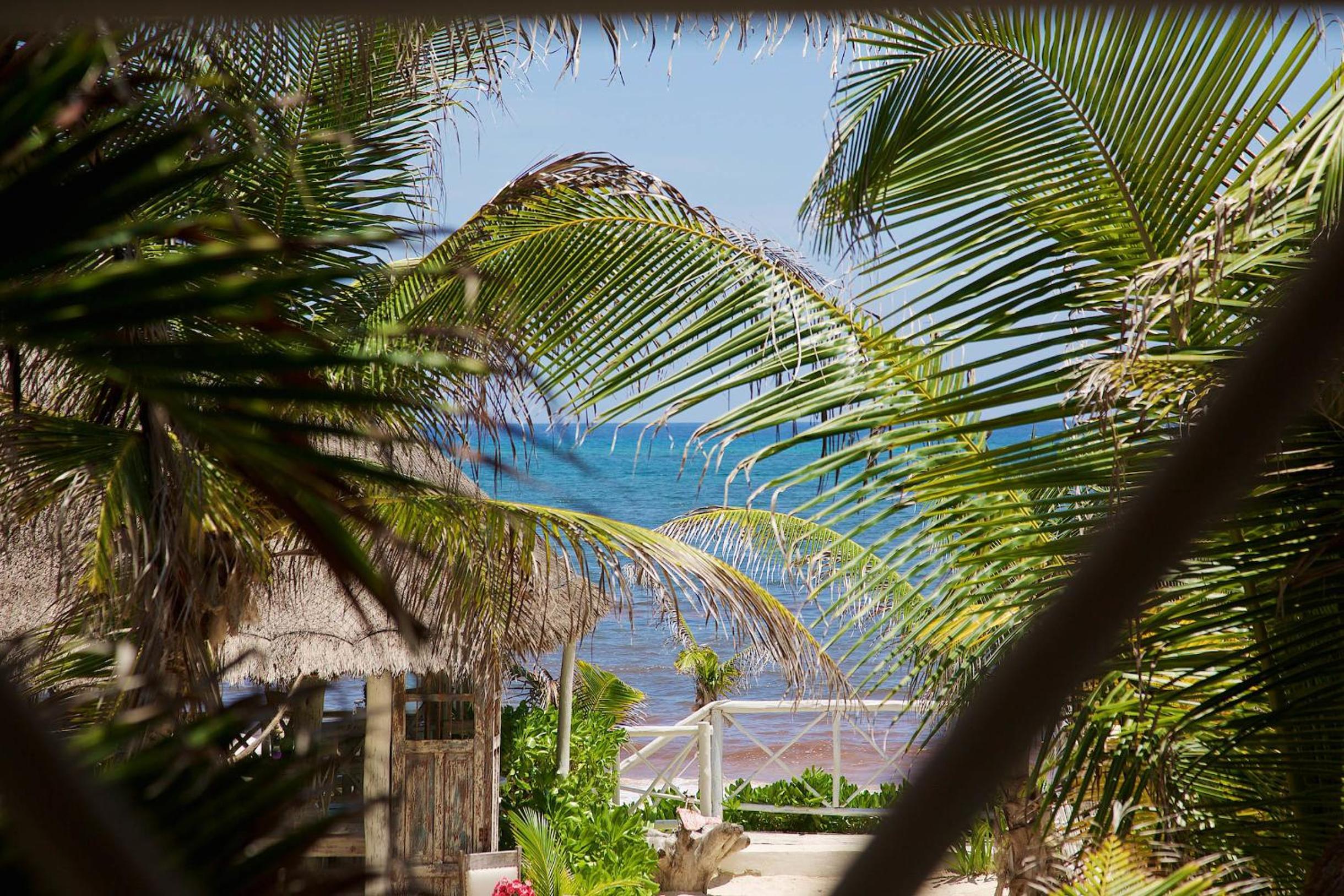 Punta Piedra Beach Posada - Property Image 47